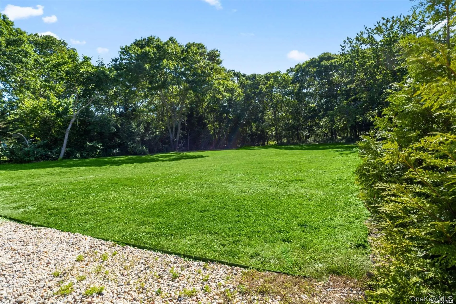 USE OF YARD AREA USE OF YARD AREA