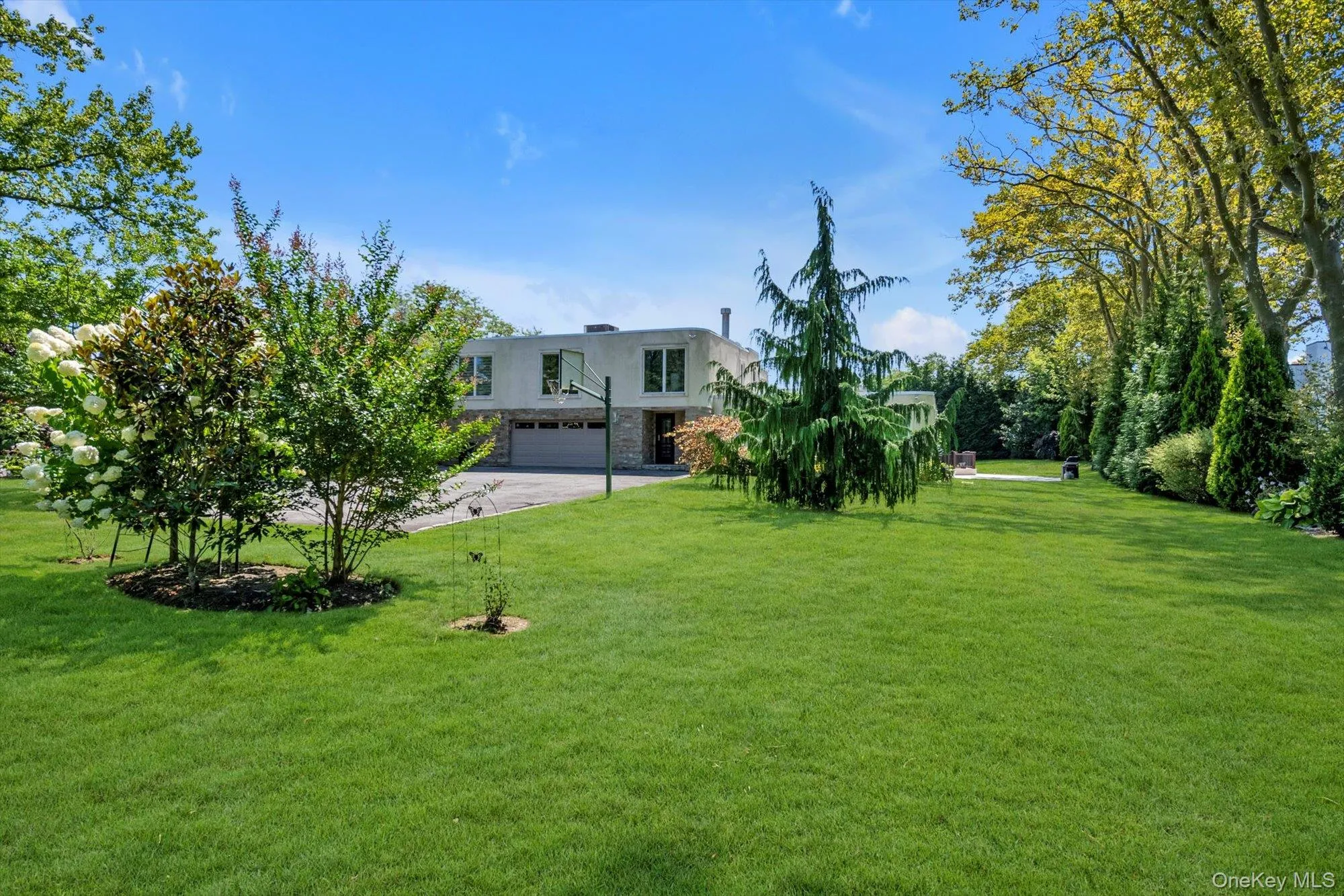 View of grassy yard with an attached garage and driveway View of grassy yard with an attached garage and driveway