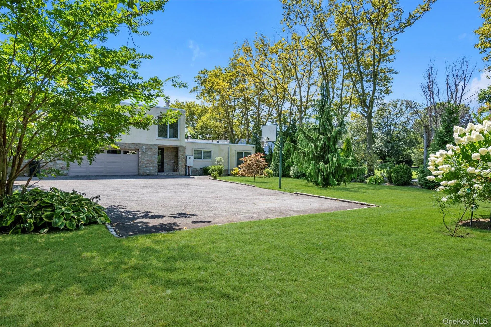 View of green lawn featuring asphalt driveway View of green lawn featuring asphalt driveway