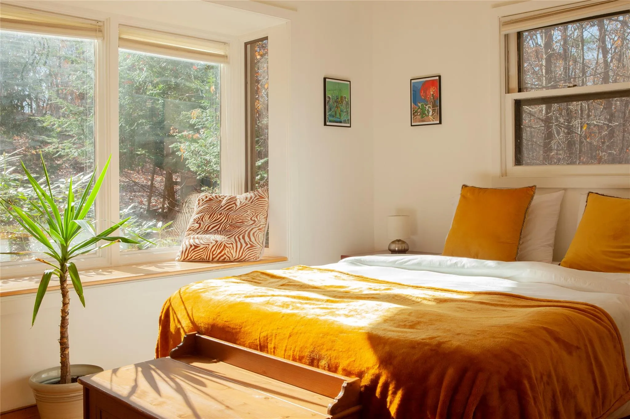 Bedroom with multiple windows Bedroom with multiple windows