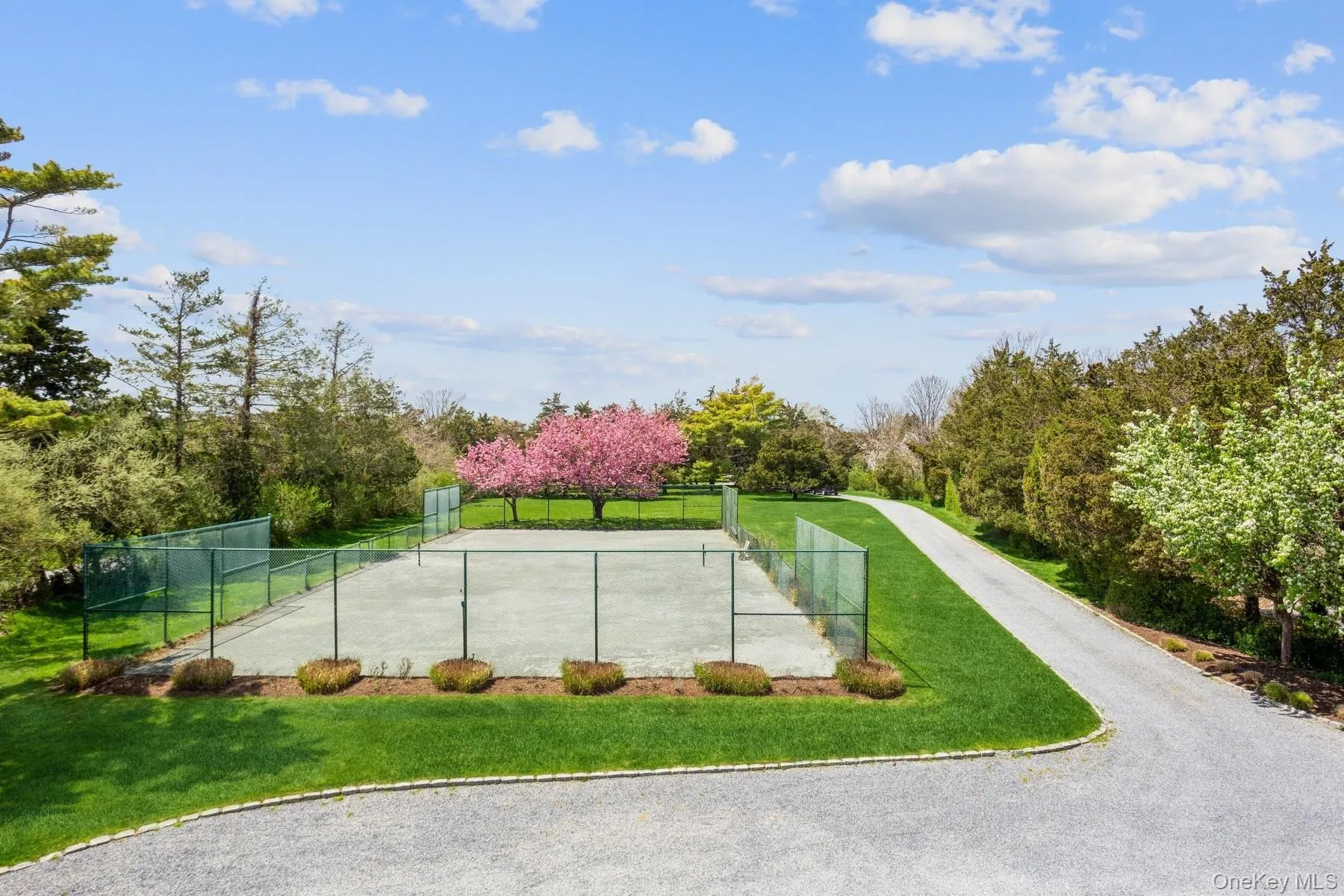 Surrounding community with driveway Surrounding community with driveway