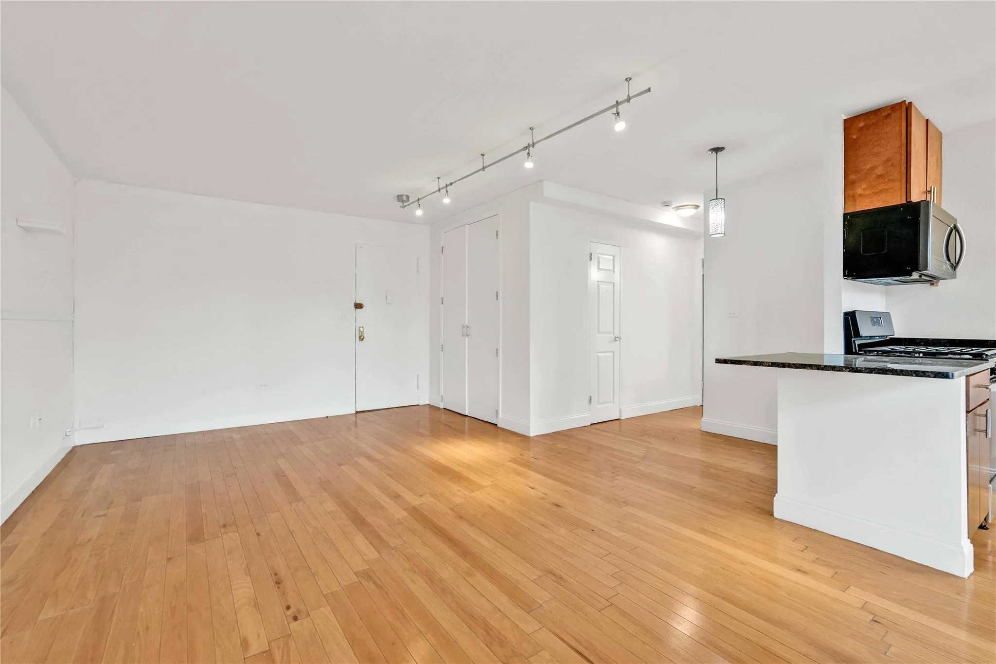 Unfurnished living room with light wood-style floors and rail lighting Unfurnished living room with light wood-style floors and rail lighting