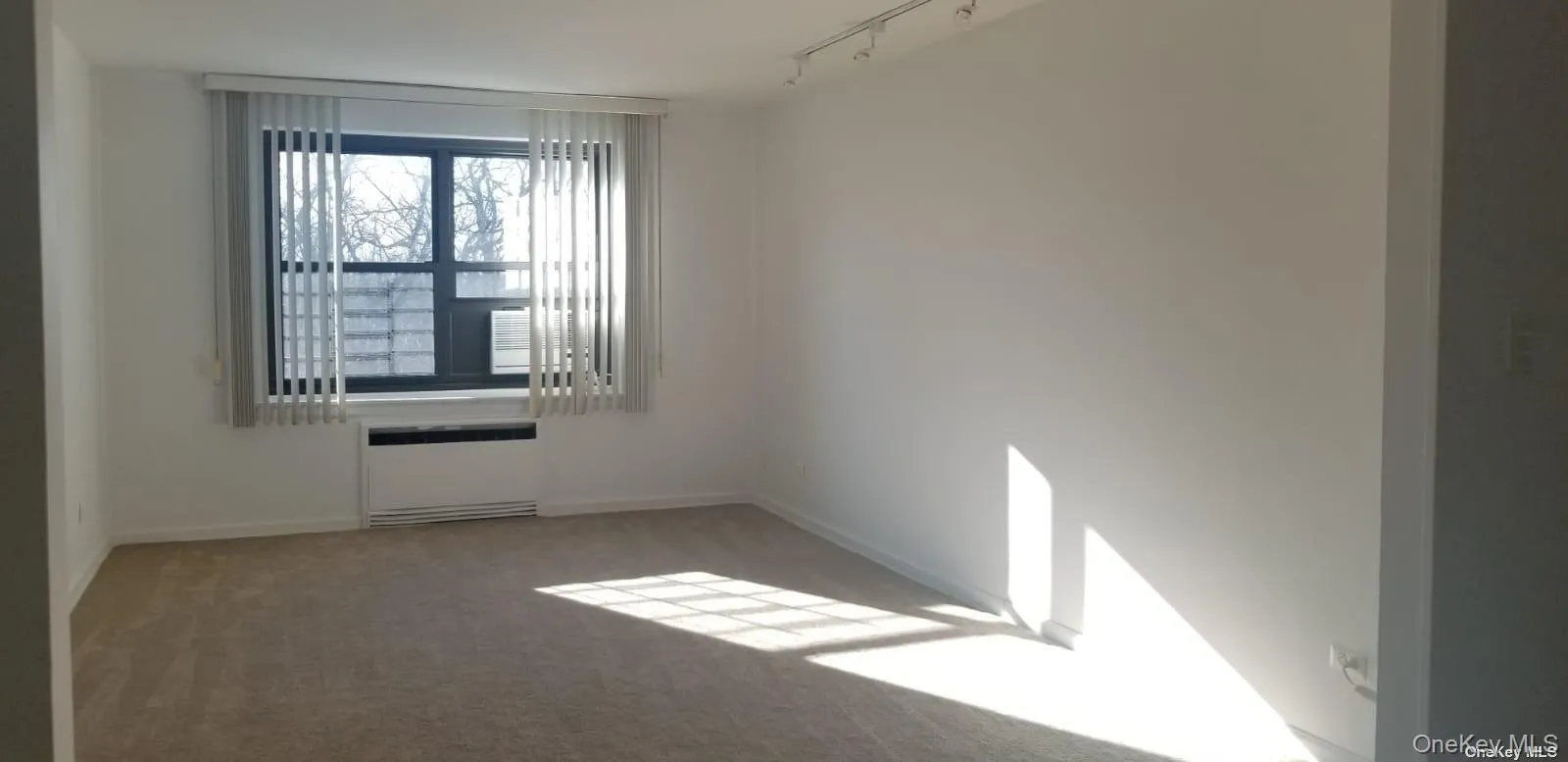 73-45 210th Street Apt #4B, New York, NY, 1 Bedroom Bedrooms, 1 Room Rooms,1 BathroomBathrooms,Residential Lease,Idx,Apt #4B,0,897177 73-45 210th Street Apt #4B, New York, NY, 1 Bedroom Bedrooms, 1 Room Rooms,1 BathroomBathrooms,Residential Lease,Idx,Apt #4B,0,897177