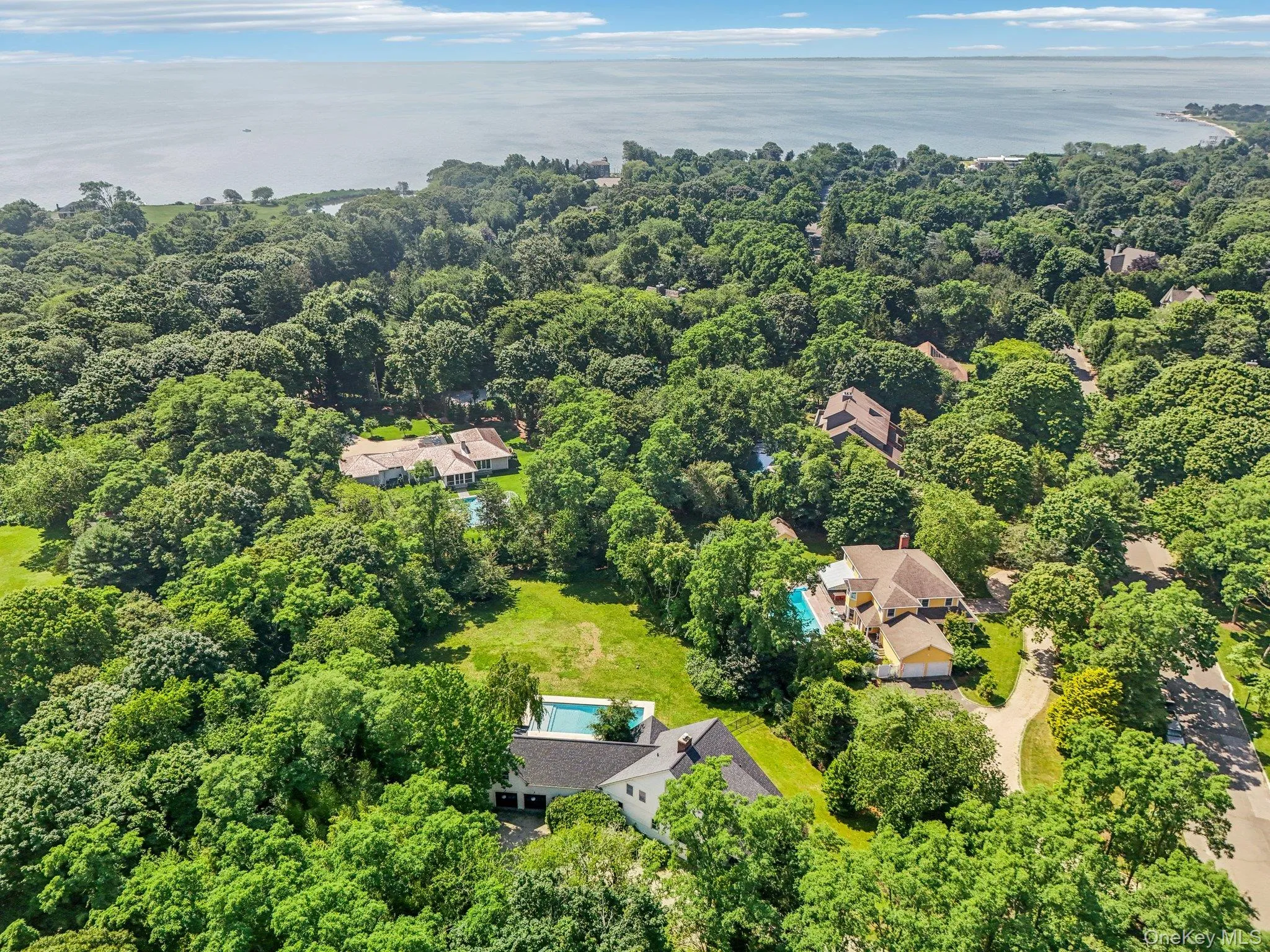 Bird's eye view of a forest Bird's eye view of a forest