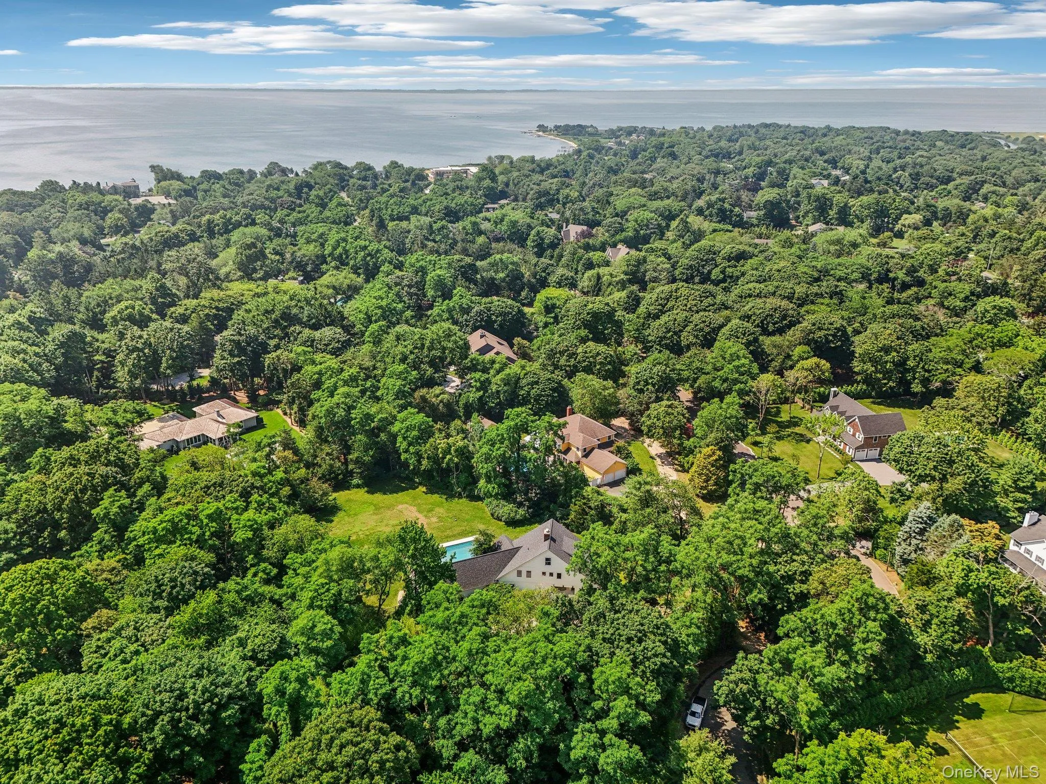 Drone / aerial view of a forest and a large body of water Drone / aerial view of a forest and a large body of water