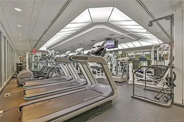 Gym Gym