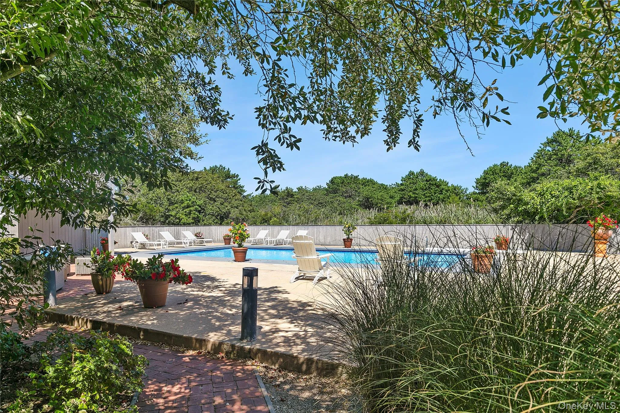 View of pool with a patio View of pool with a patio