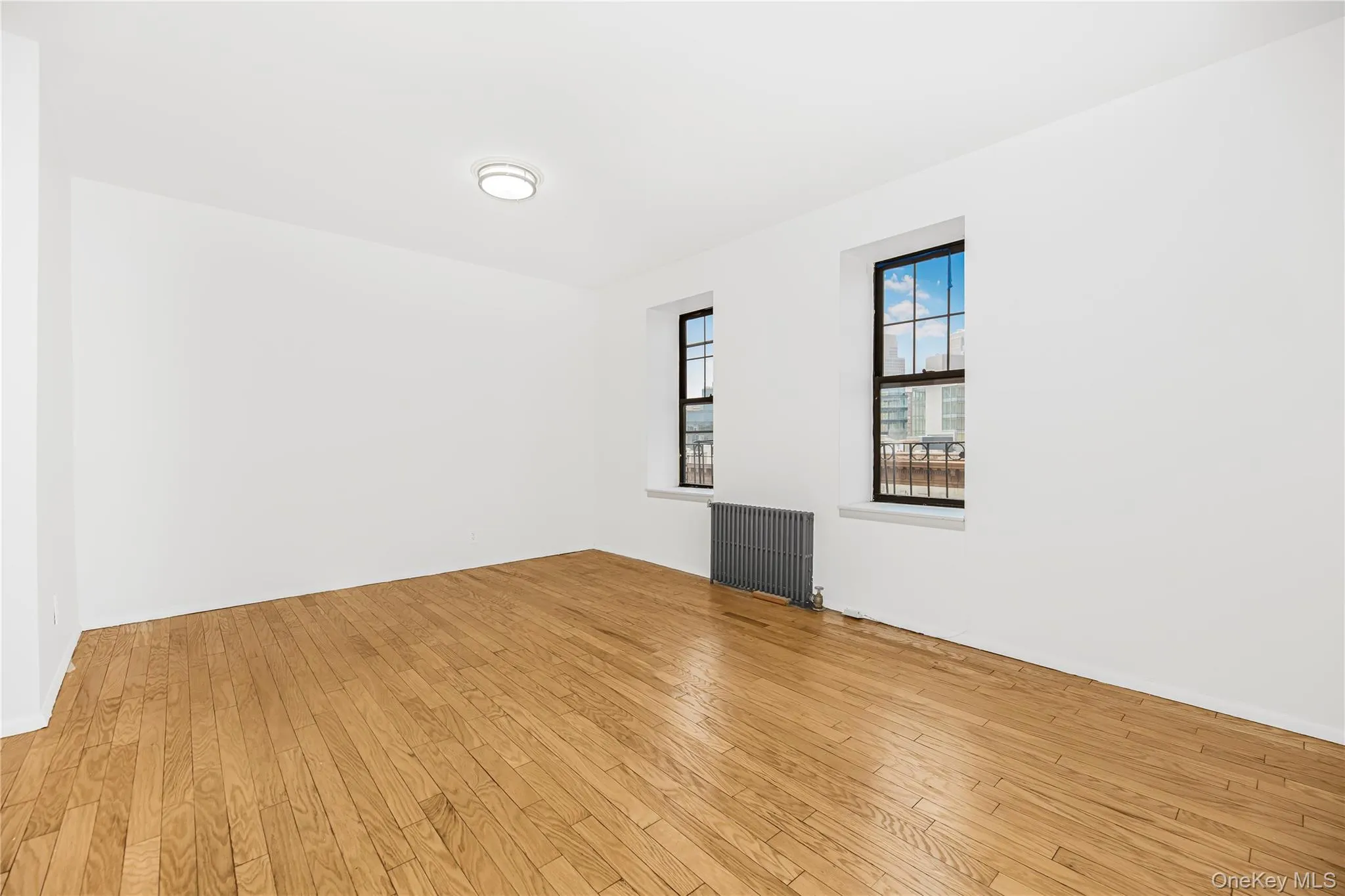 Spare room featuring light wood-type flooring and radiator Spare room featuring light wood-type flooring and radiator