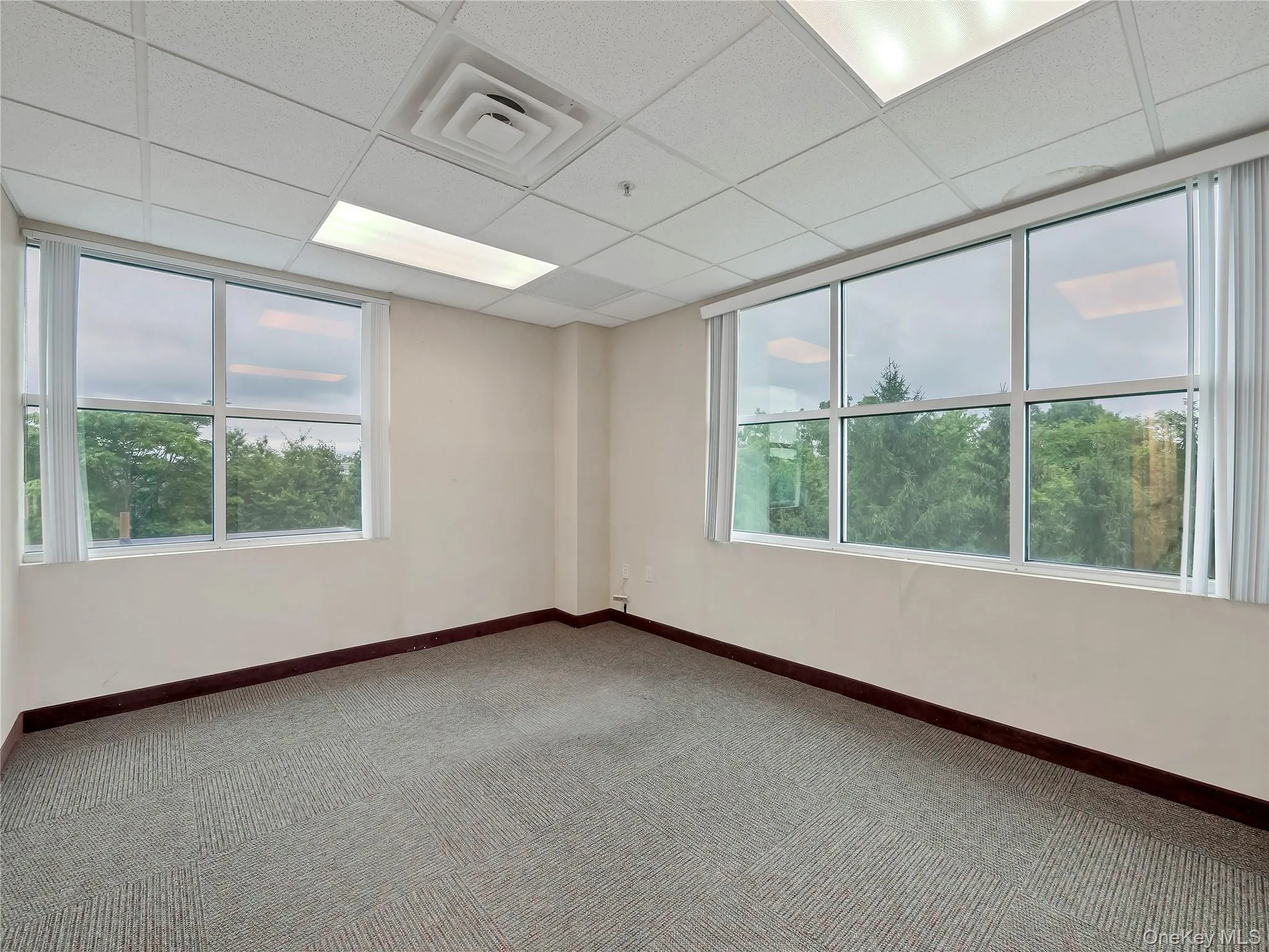 Carpeted spare room featuring a drop ceiling and baseboards Carpeted spare room featuring a drop ceiling and baseboards