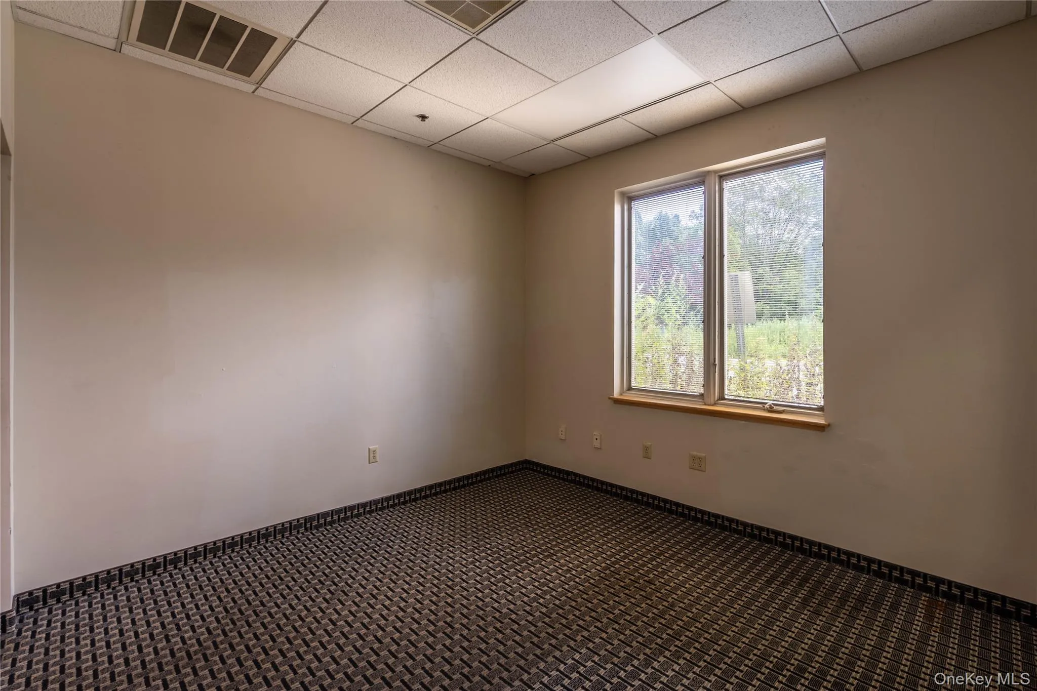 Carpeted empty room featuring a drop ceiling and baseboards Carpeted empty room featuring a drop ceiling and baseboards