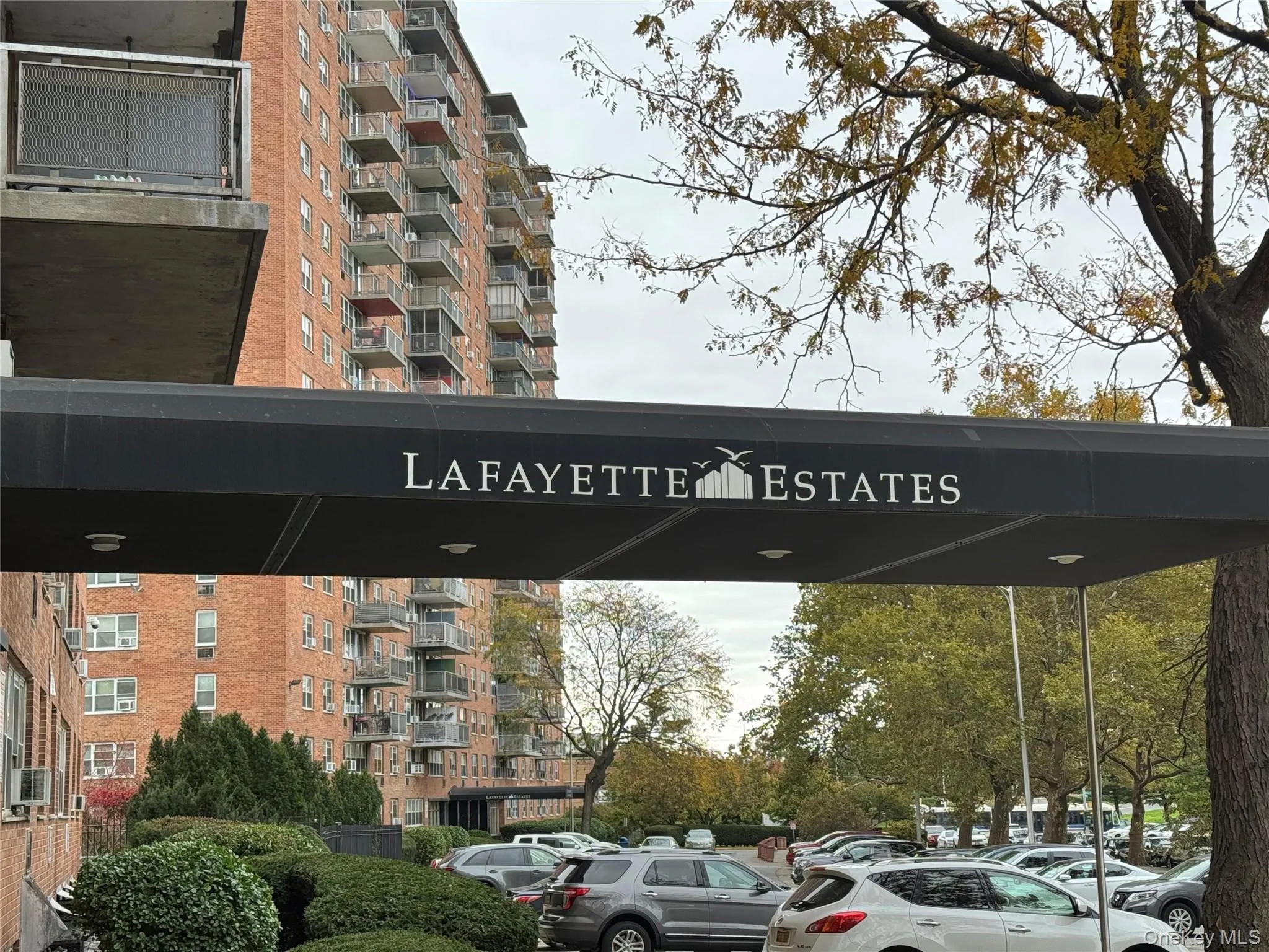 825 Morrison Avenue, New York, NY, 1 Bedroom Bedrooms, 4 Rooms Rooms,1 BathroomBathrooms,Residential,For Rent,Morrison,0,897823 825 Morrison Avenue, New York, NY, 1 Bedroom Bedrooms, 4 Rooms Rooms,1 BathroomBathrooms,Residential,For Rent,Morrison,0,897823