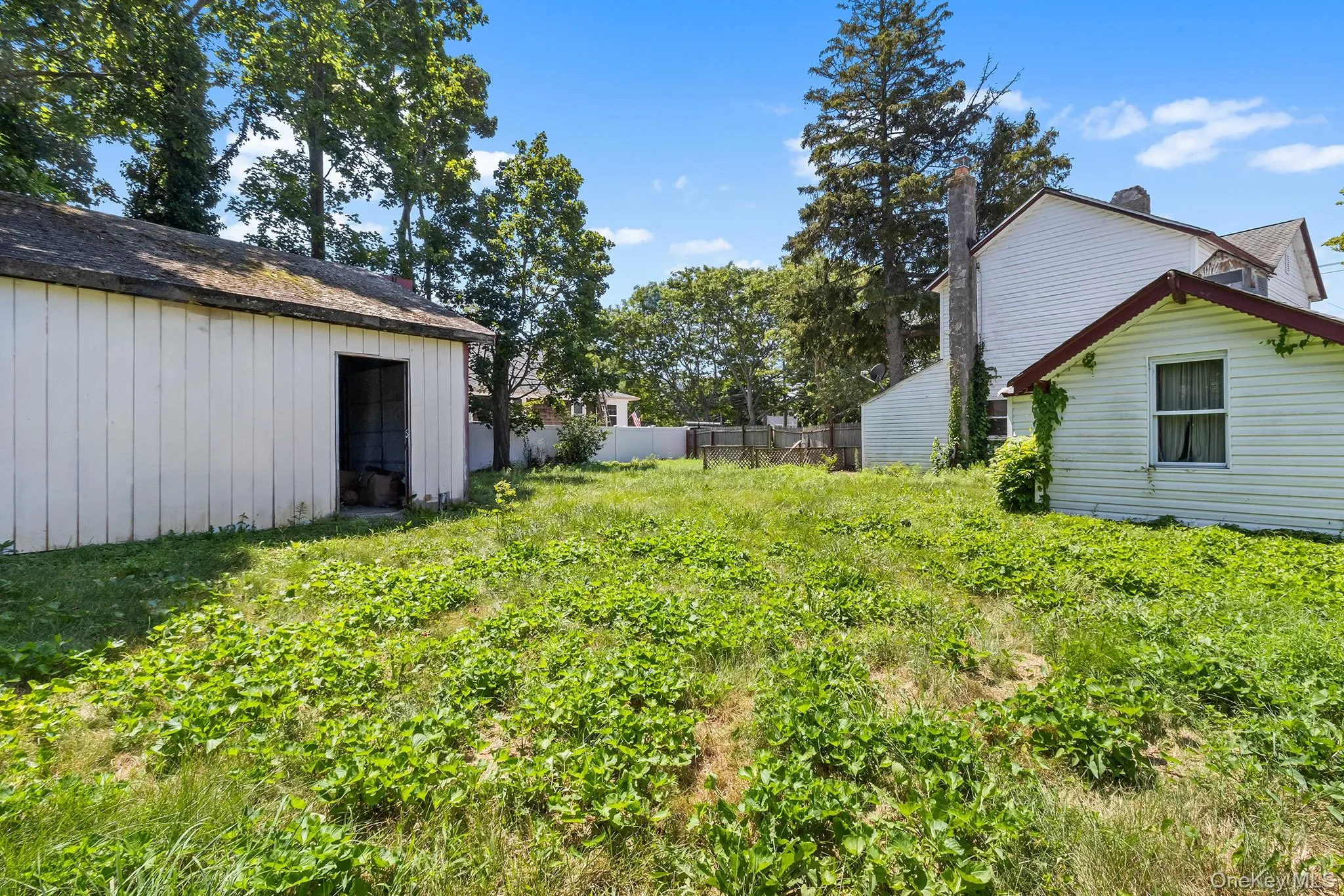 View of yard with an outbuilding View of yard with an outbuilding