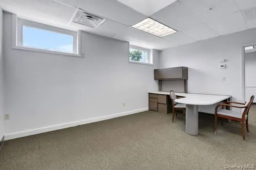 Office area featuring a drop ceiling and light carpet Office area featuring a drop ceiling and light carpet