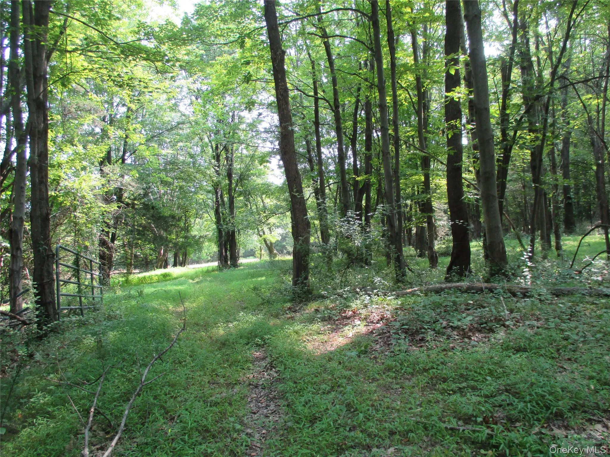 Barbara Dr. Path to Meadow Barbara Dr. Path to Meadow