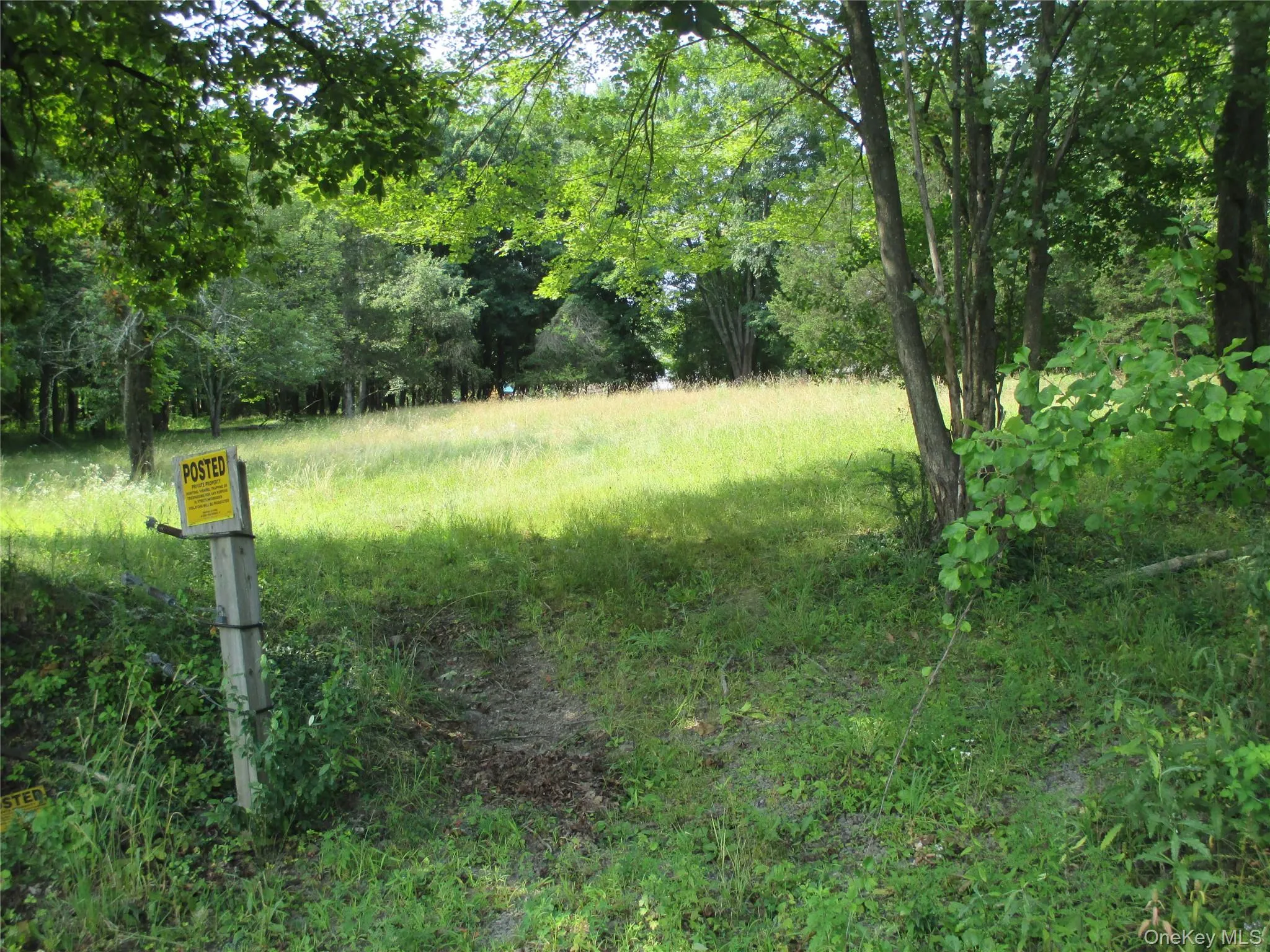Brady Rd. Meadow Brady Rd. Meadow