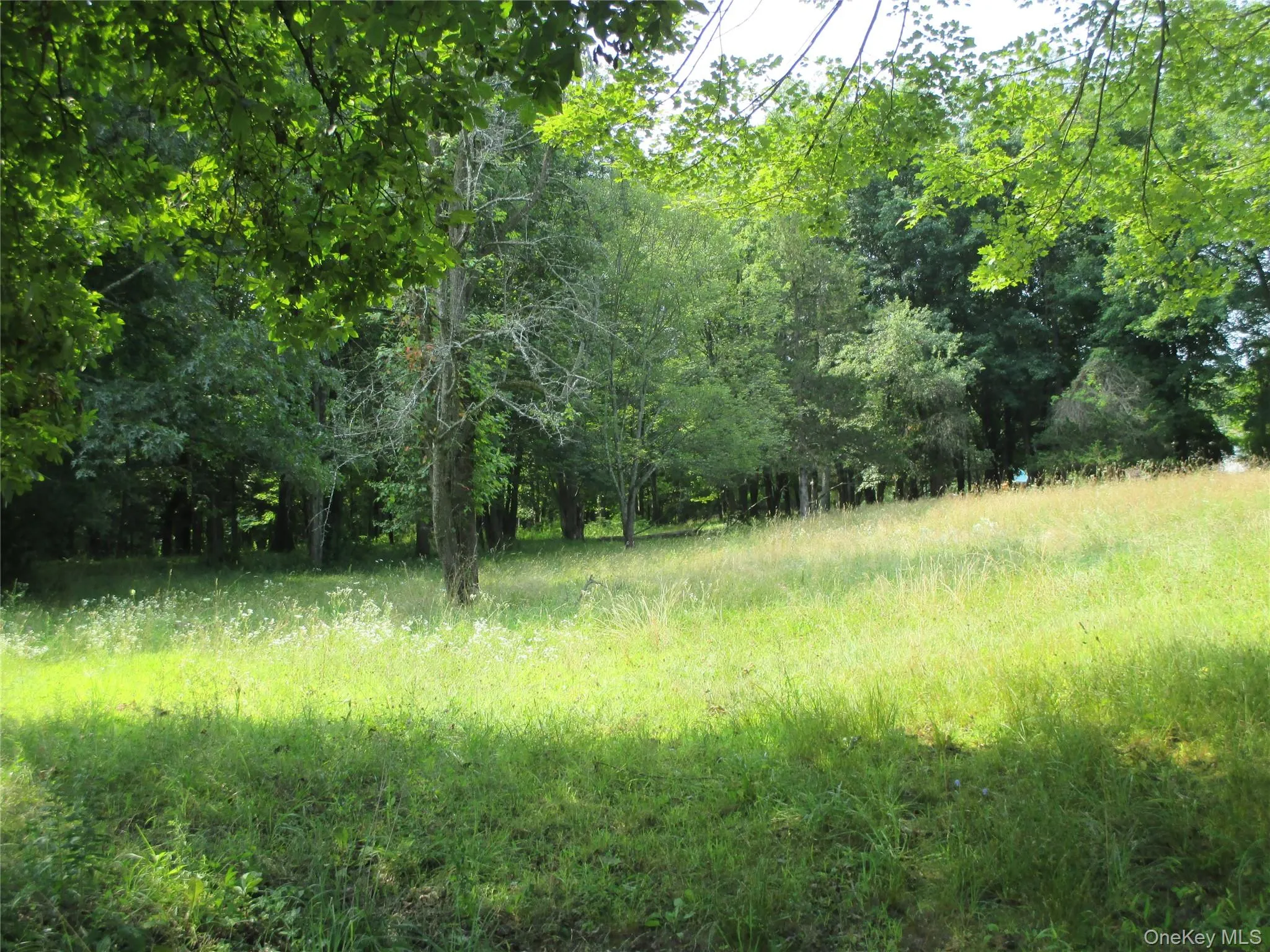 Brady Rd. Meadow Brady Rd. Meadow