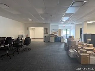 Misc room featuring a drop ceiling and carpet floors Misc room featuring a drop ceiling and carpet floors