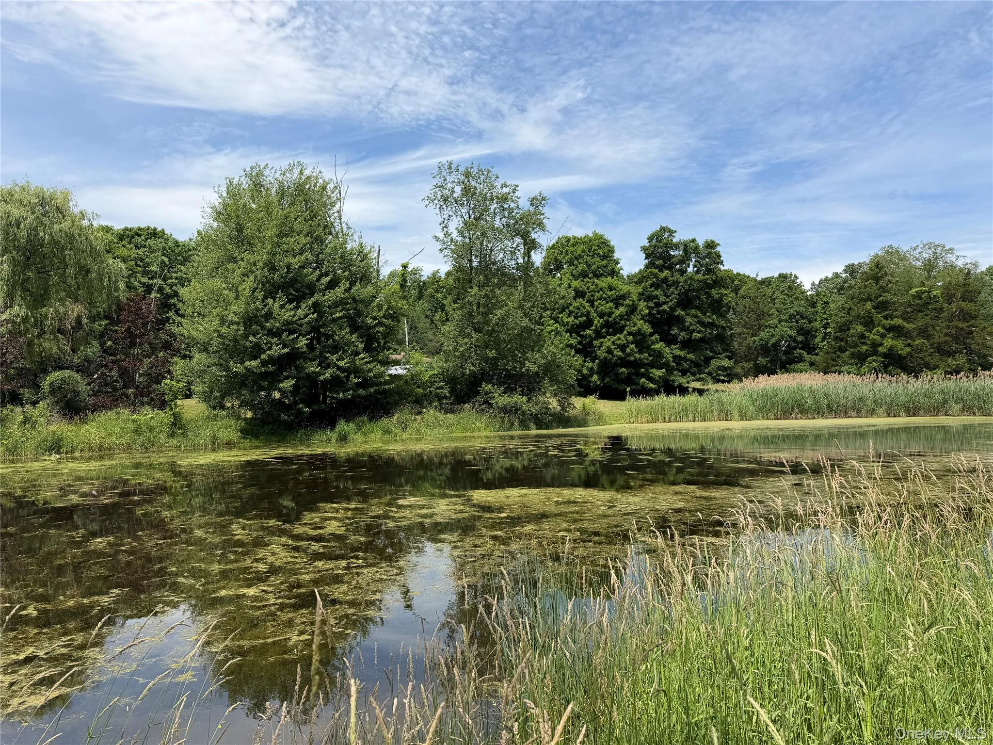The back half of the property is wooded and features a stocked pond The back half of the property is wooded and features a stocked pond