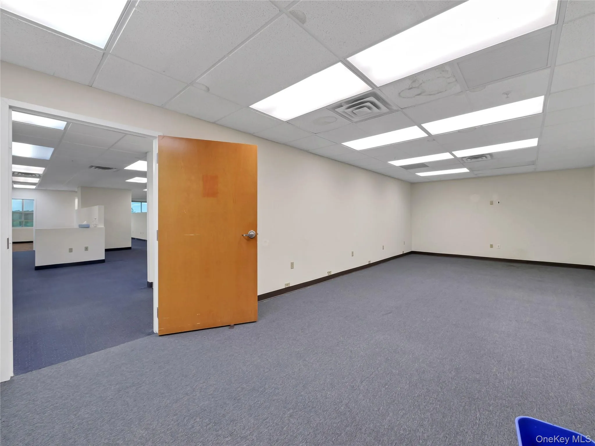 Carpeted spare room with a paneled ceiling and baseboards Carpeted spare room with a paneled ceiling and baseboards