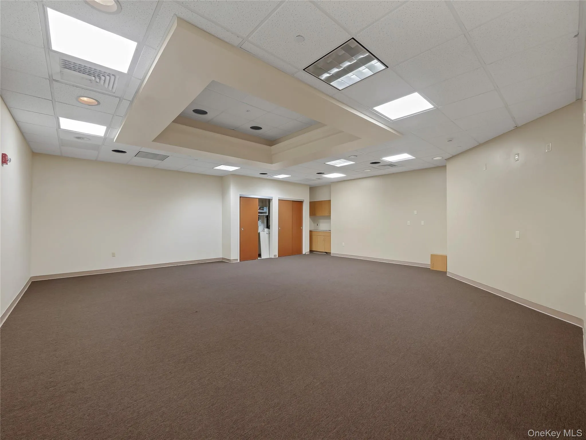Spare room with carpet, a paneled ceiling, and a tray ceiling Spare room with carpet, a paneled ceiling, and a tray ceiling