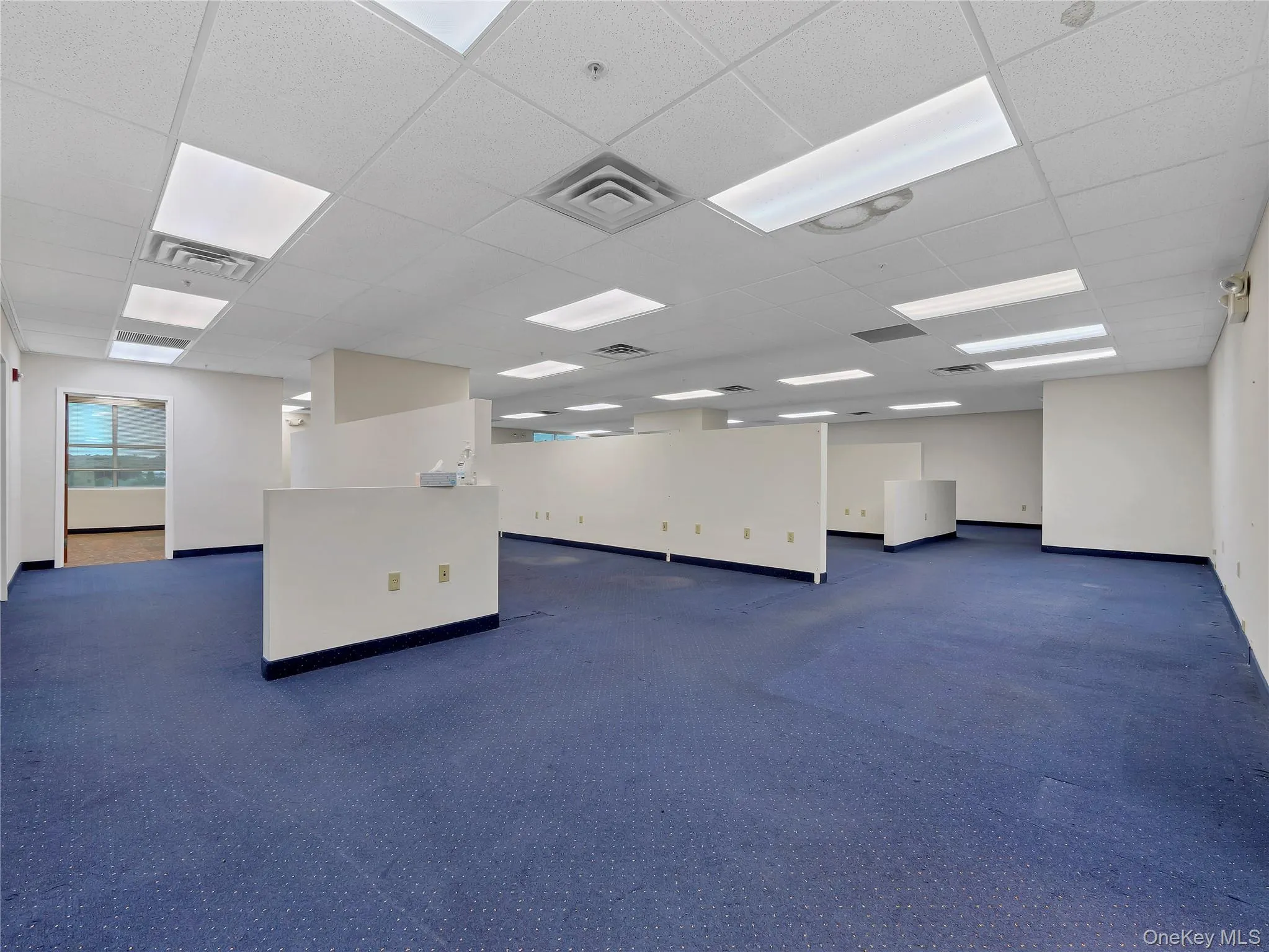 Carpeted spare room featuring a drop ceiling and baseboards Carpeted spare room featuring a drop ceiling and baseboards
