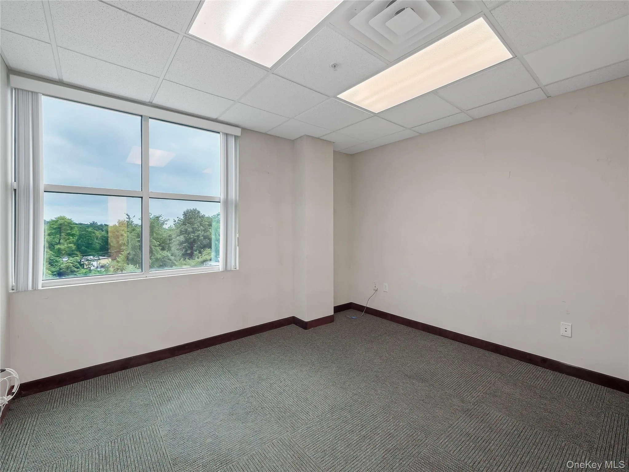 Spare room featuring a drop ceiling and dark colored carpet Spare room featuring a drop ceiling and dark colored carpet