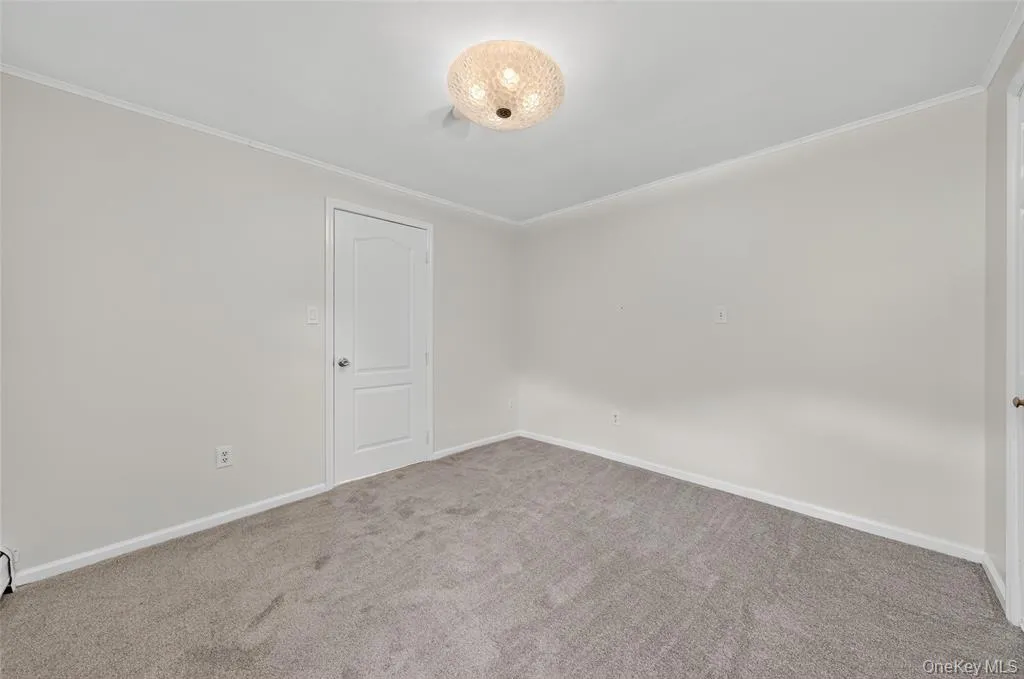 Spare room featuring crown molding and carpet flooring Spare room featuring crown molding and carpet flooring