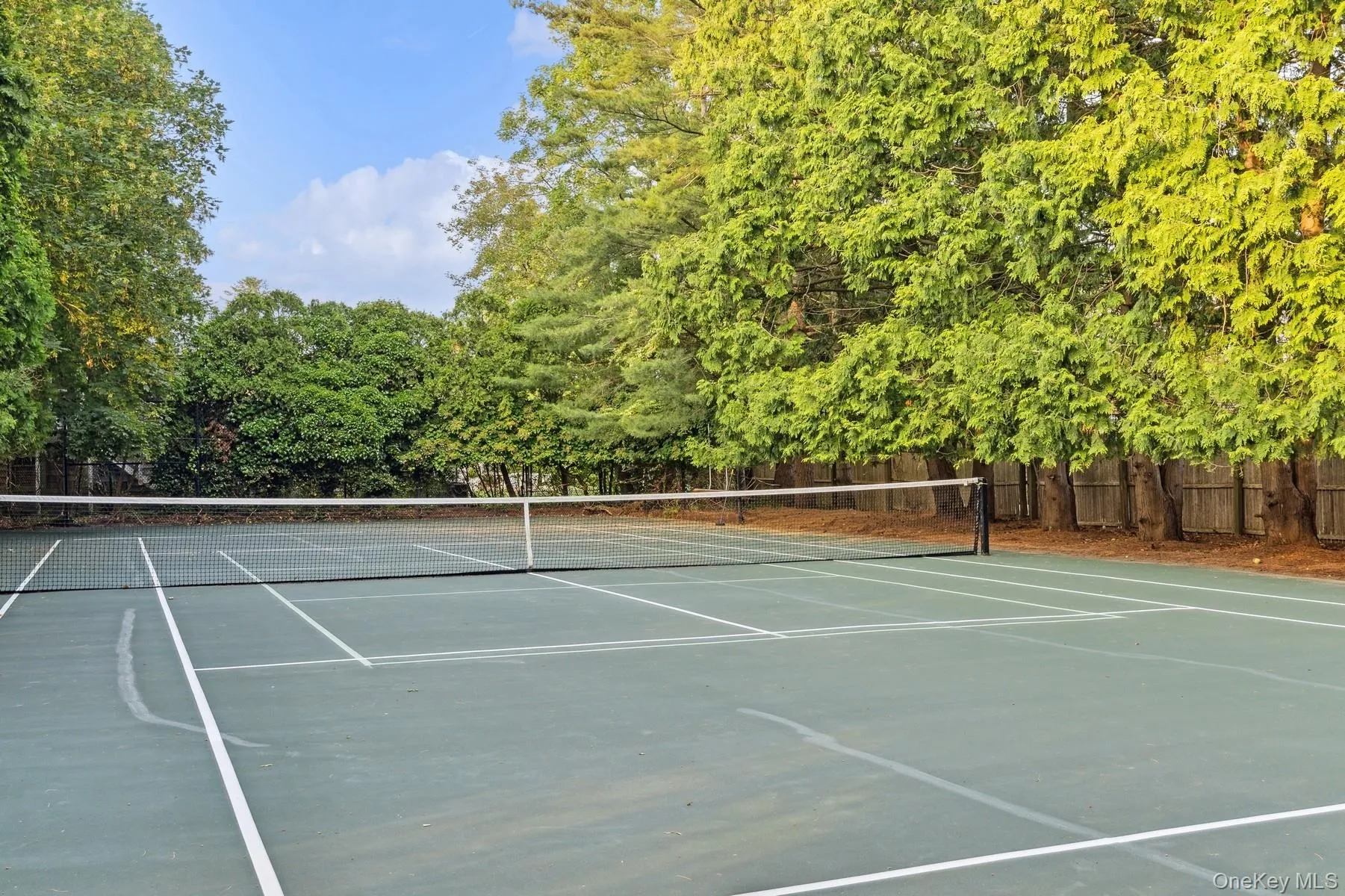 Tennis and Pickleball Tennis and Pickleball