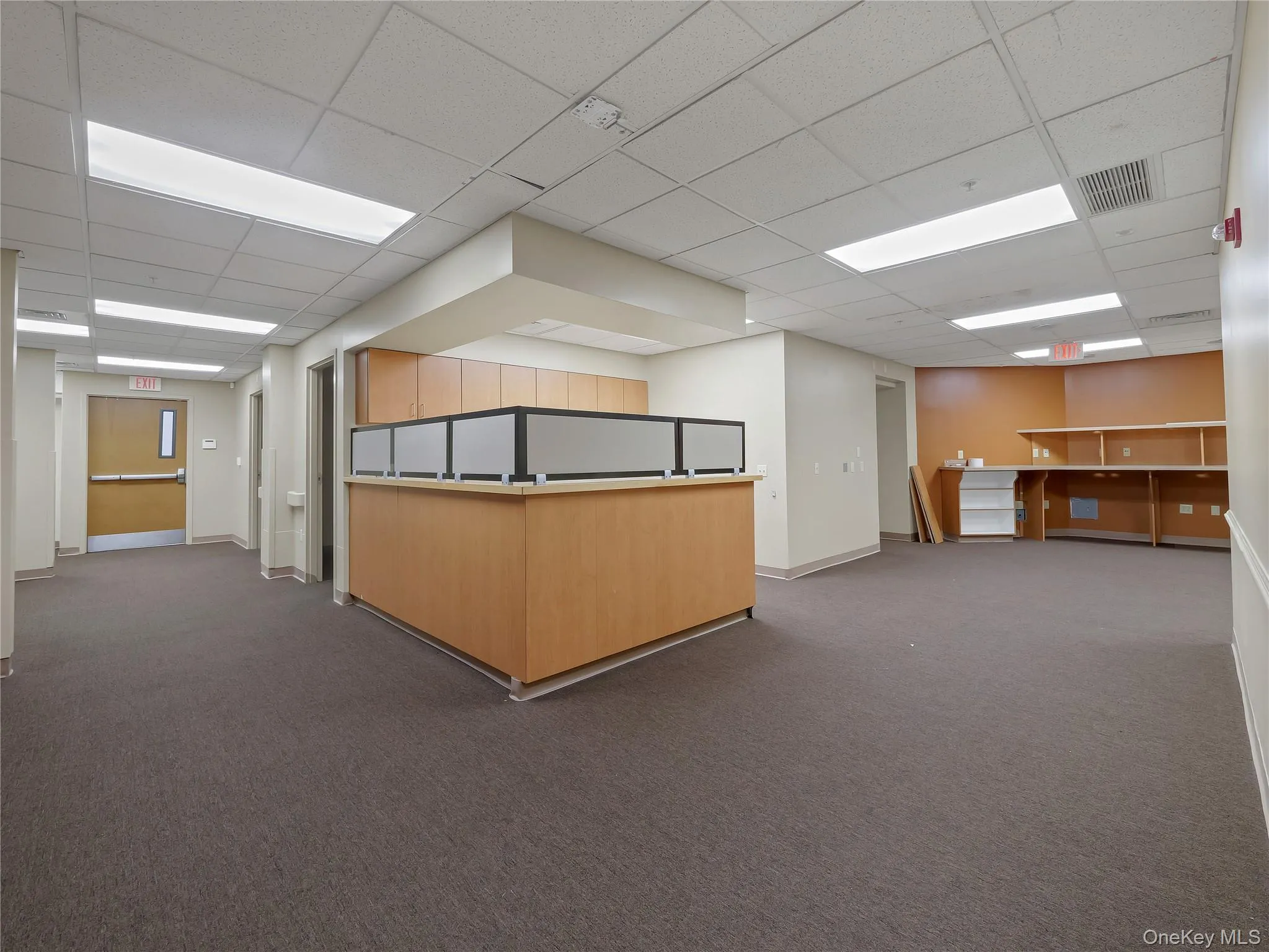 Basement featuring a drop ceiling and carpet floors Basement featuring a drop ceiling and carpet floors