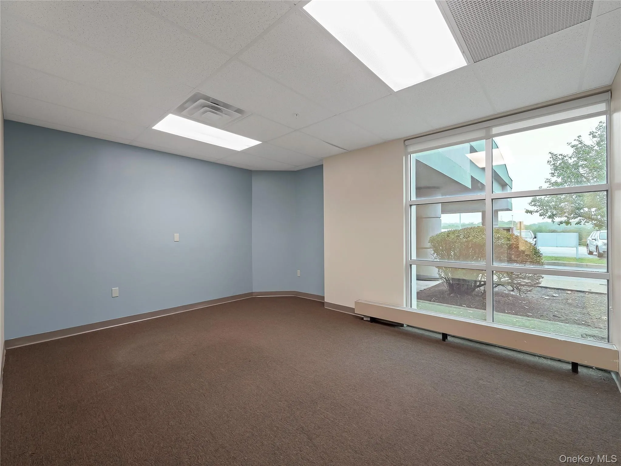 Unfurnished room featuring carpet and a drop ceiling Unfurnished room featuring carpet and a drop ceiling