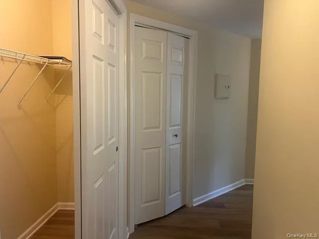 Hallway with dark wood-style floors Hallway with dark wood-style floors