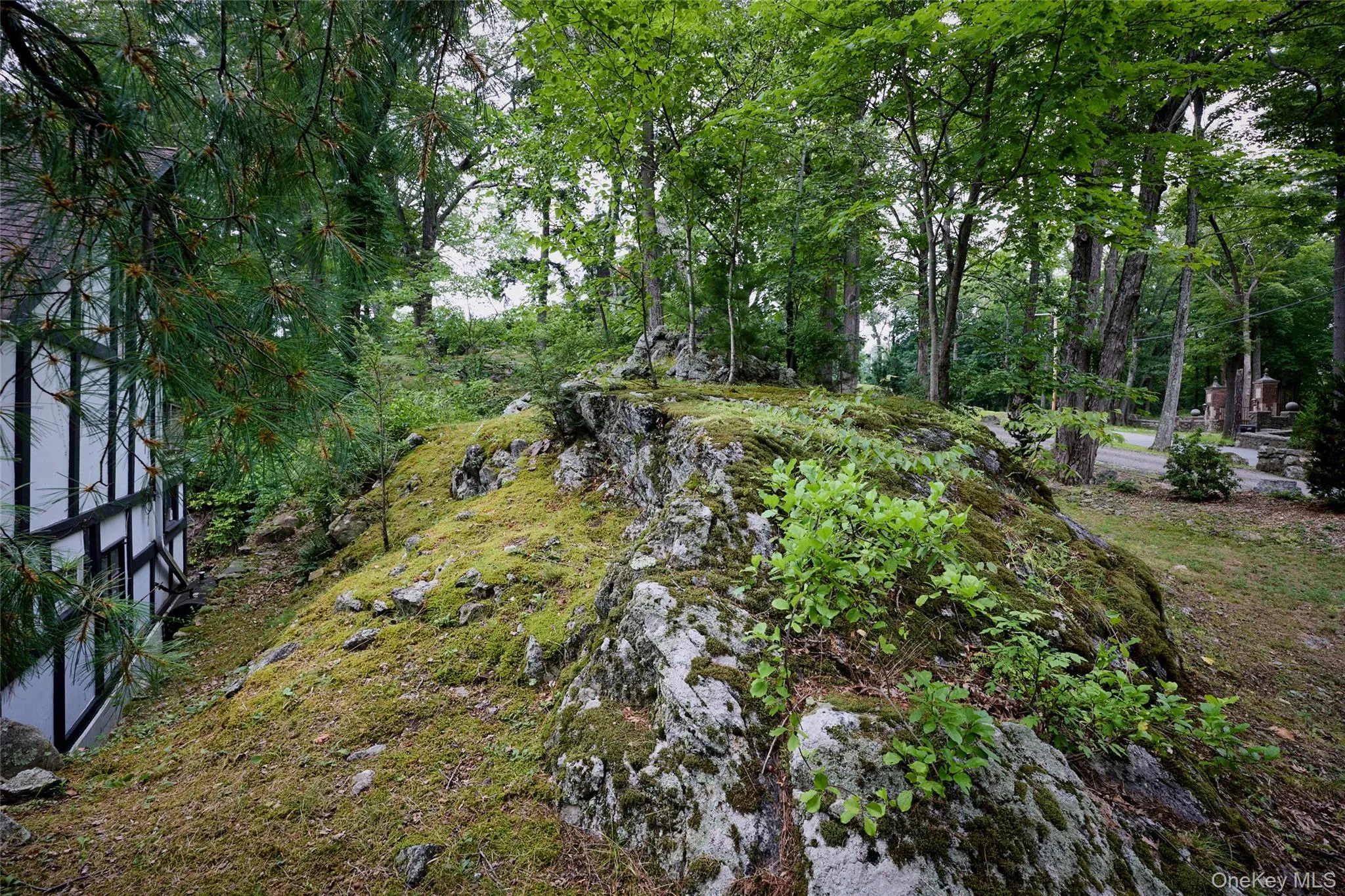 View of yard with a forest view View of yard with a forest view
