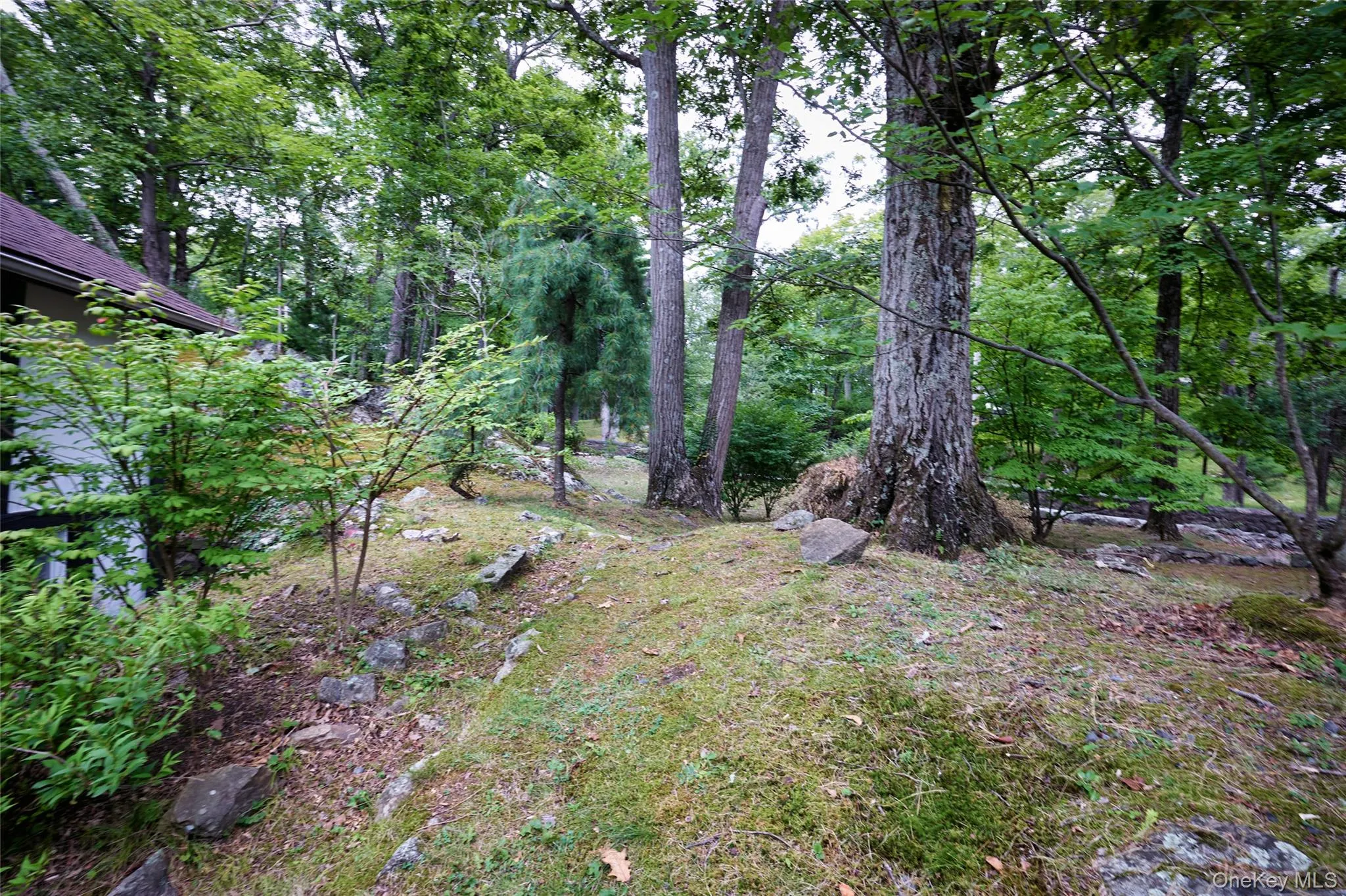 View of yard with a view of trees View of yard with a view of trees