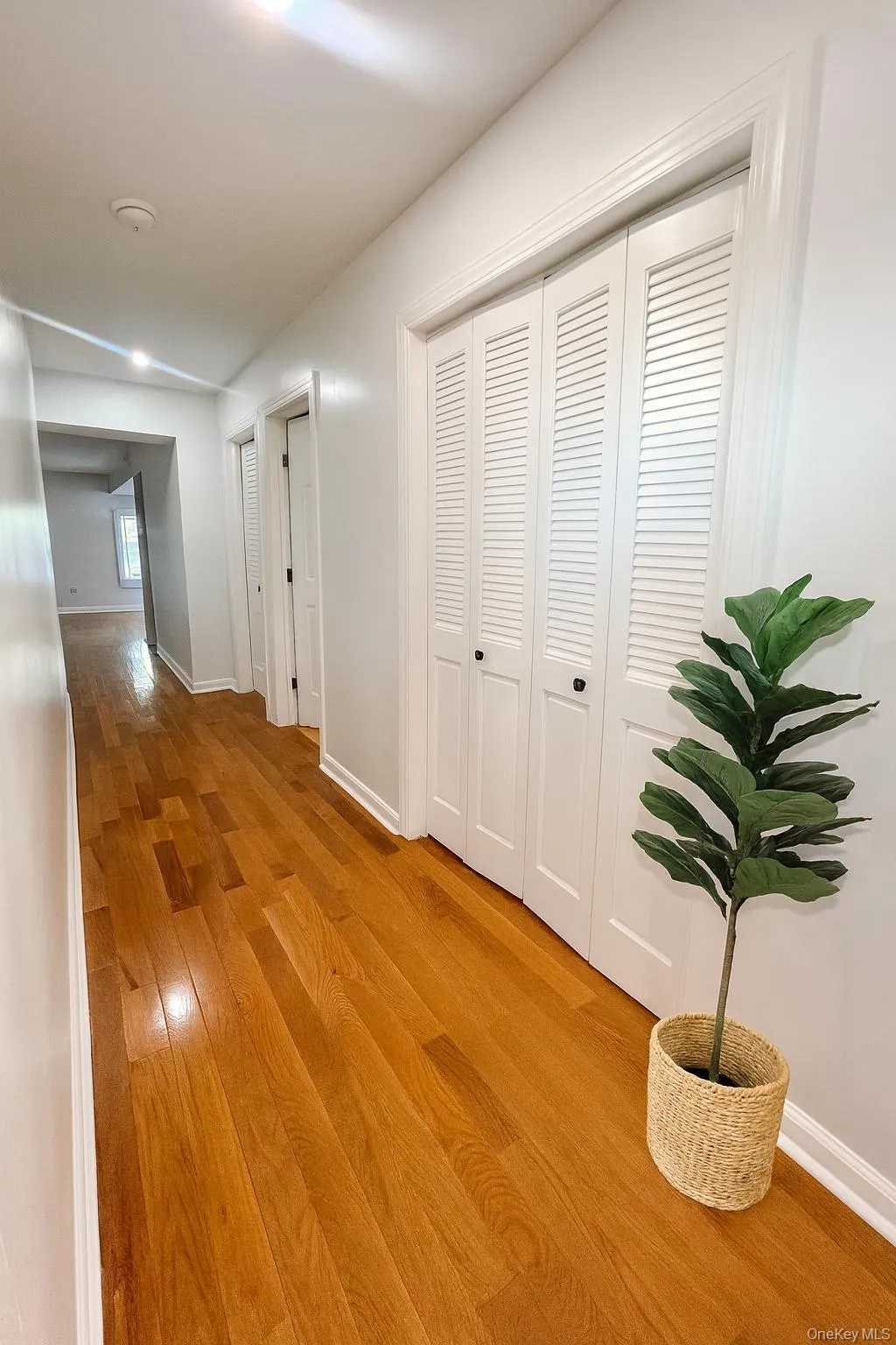Hallway featuring light wood-style flooring and vaulted ceiling Hallway featuring light wood-style flooring and vaulted ceiling