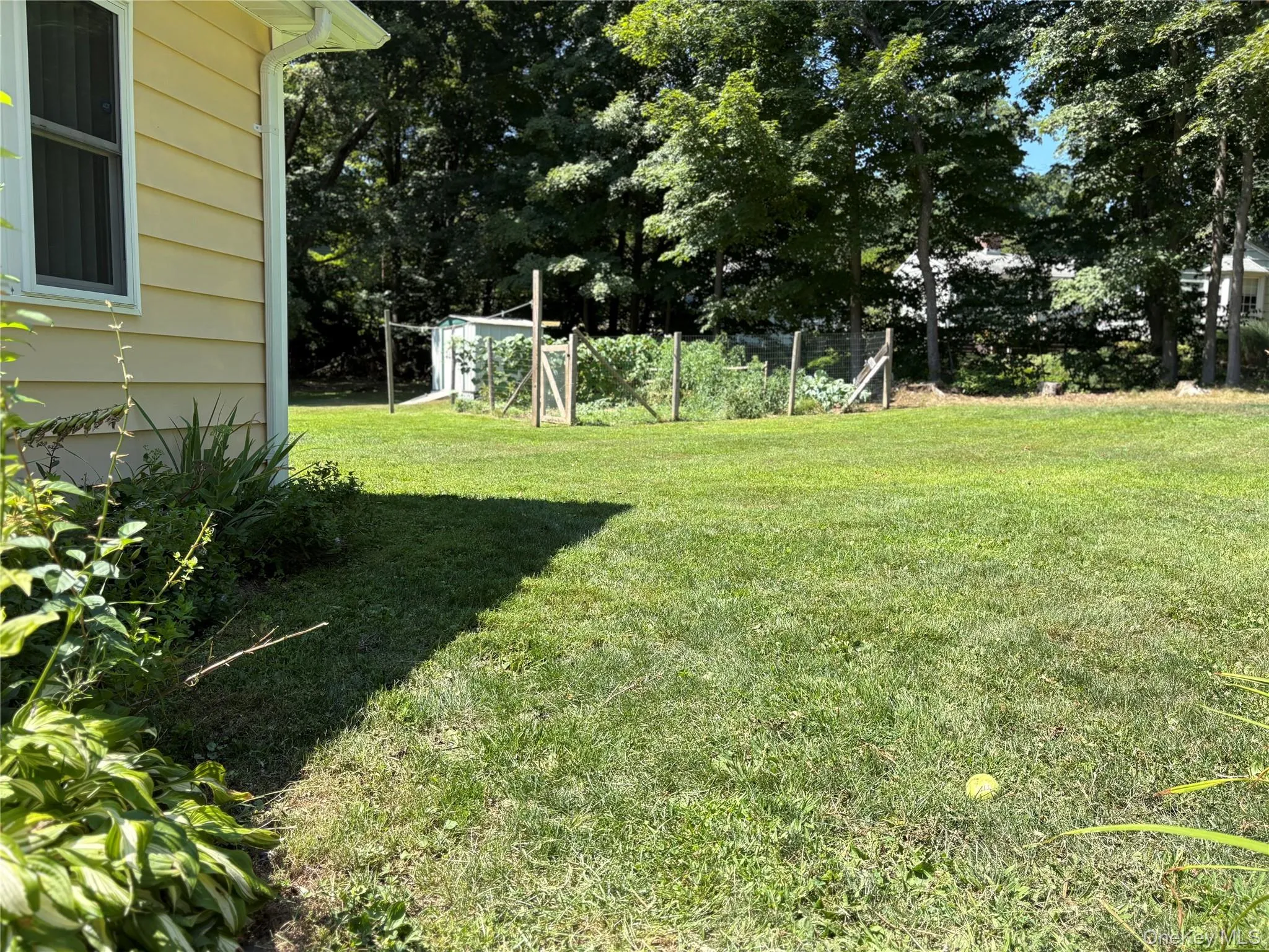 View of grassy yard with view of scattered trees View of grassy yard with view of scattered trees