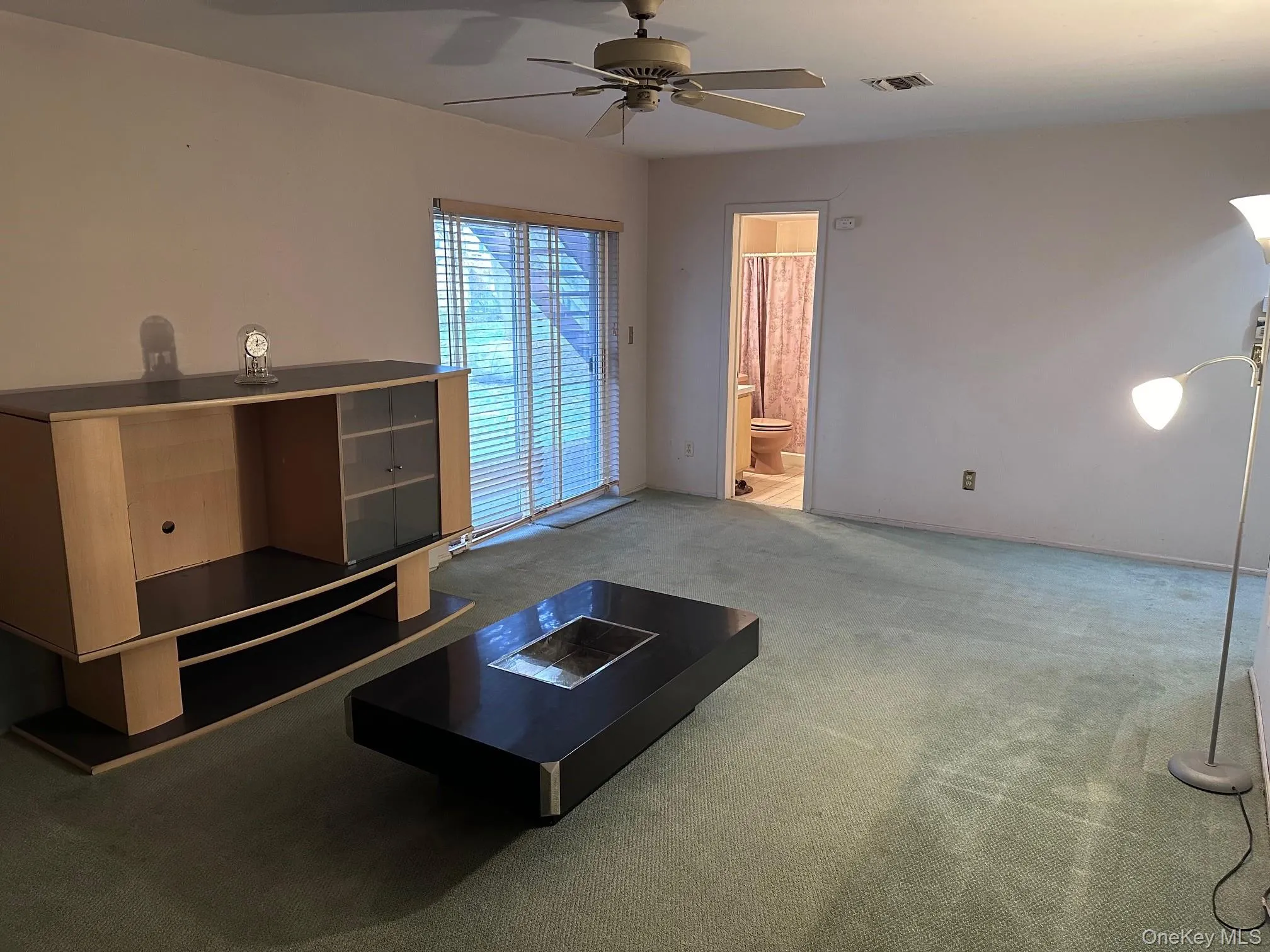 Lower level family room without furniture Lower level family room without furniture