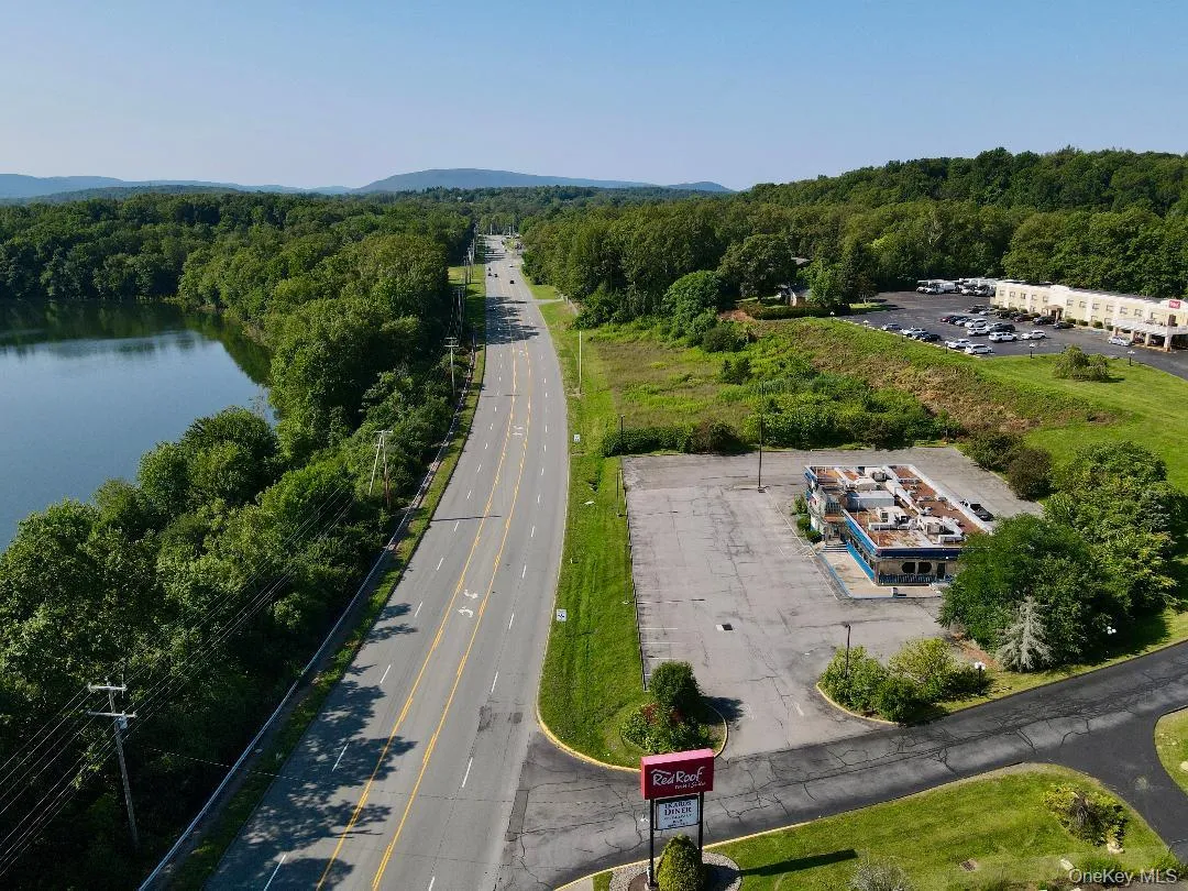 Aerial view of a forest and a nearby lake Aerial view of a forest and a nearby lake