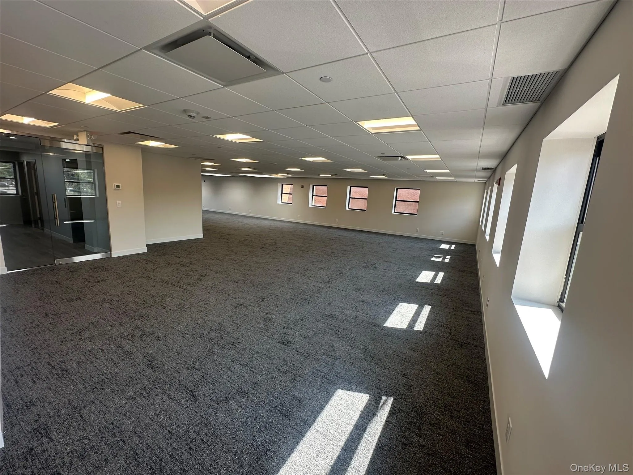Carpeted spare room featuring a paneled ceiling and baseboards Carpeted spare room featuring a paneled ceiling and baseboards