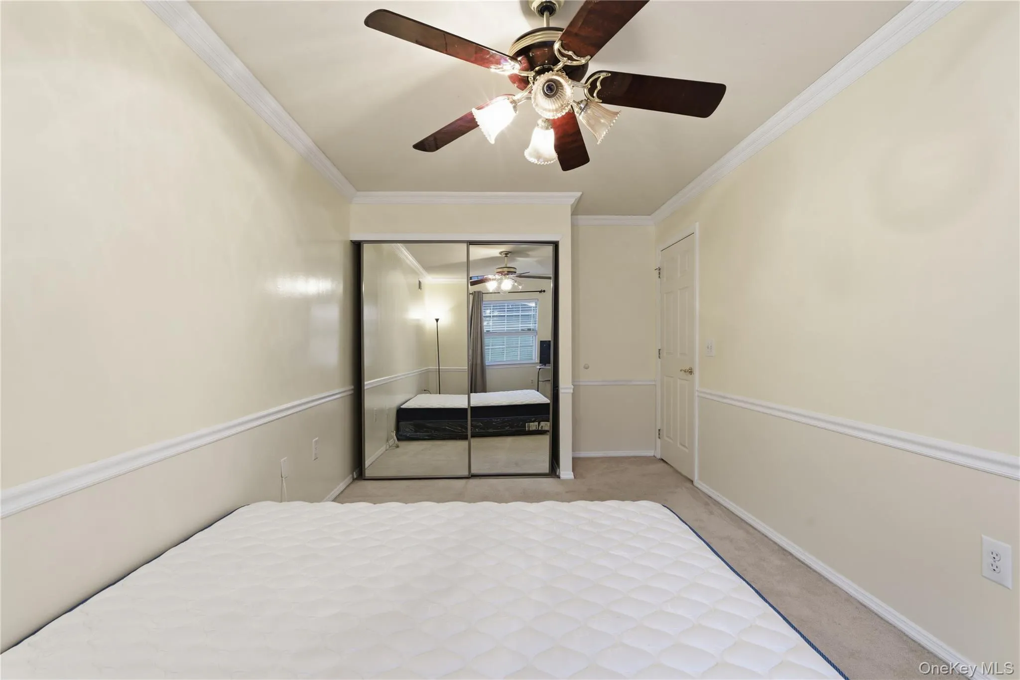 Carpeted bedroom featuring crown molding, a ceiling fan, and a closet Carpeted bedroom featuring crown molding, a ceiling fan, and a closet