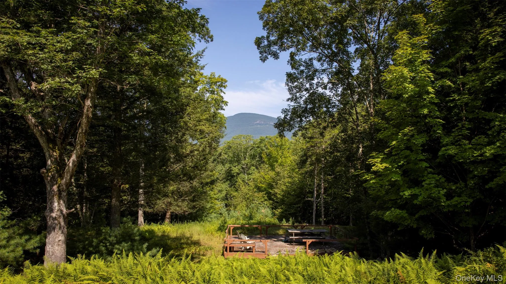 Mountain view featuring a heavily wooded area Mountain view featuring a heavily wooded area