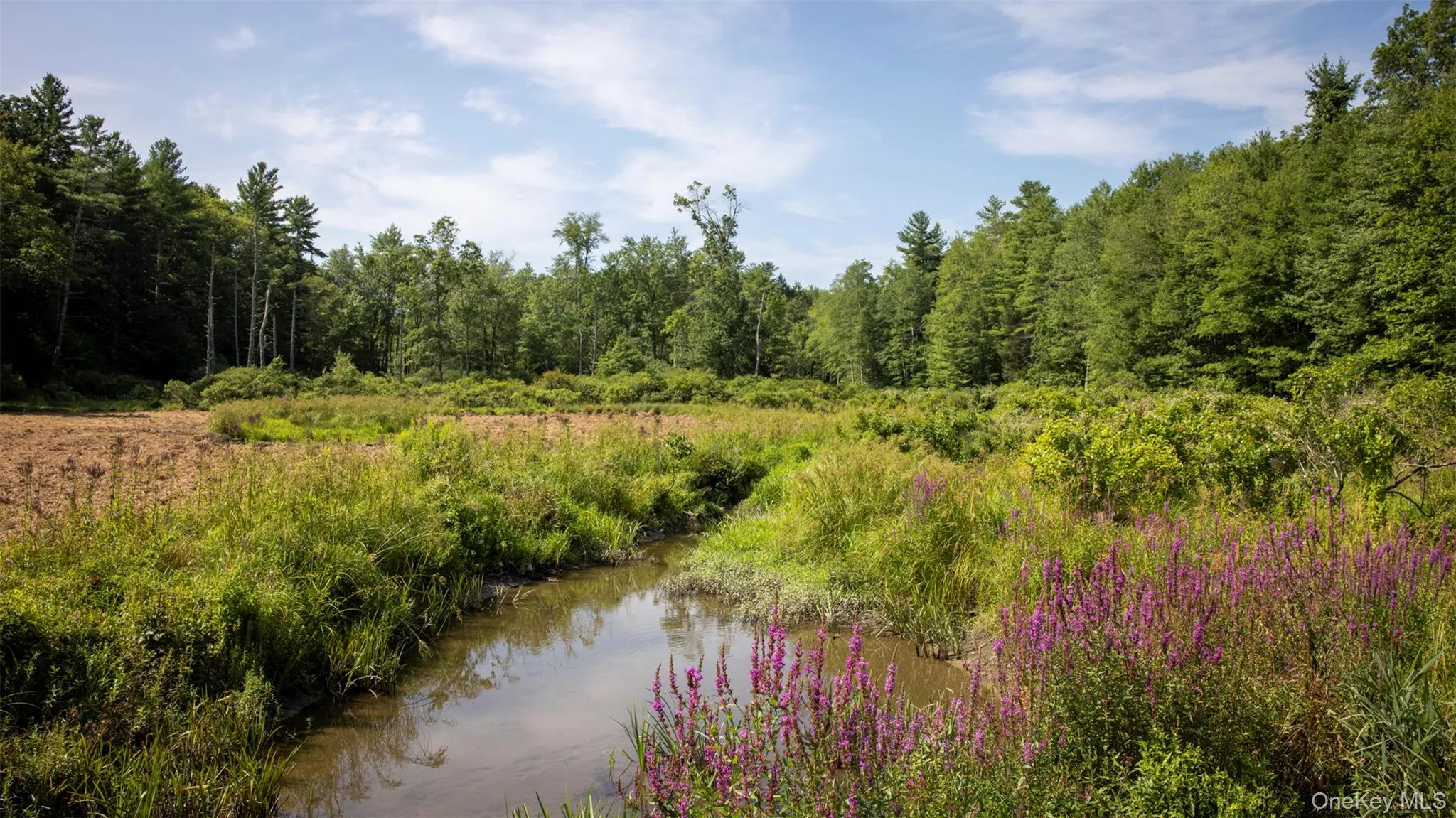 View of wooded area featuring a water view View of wooded area featuring a water view