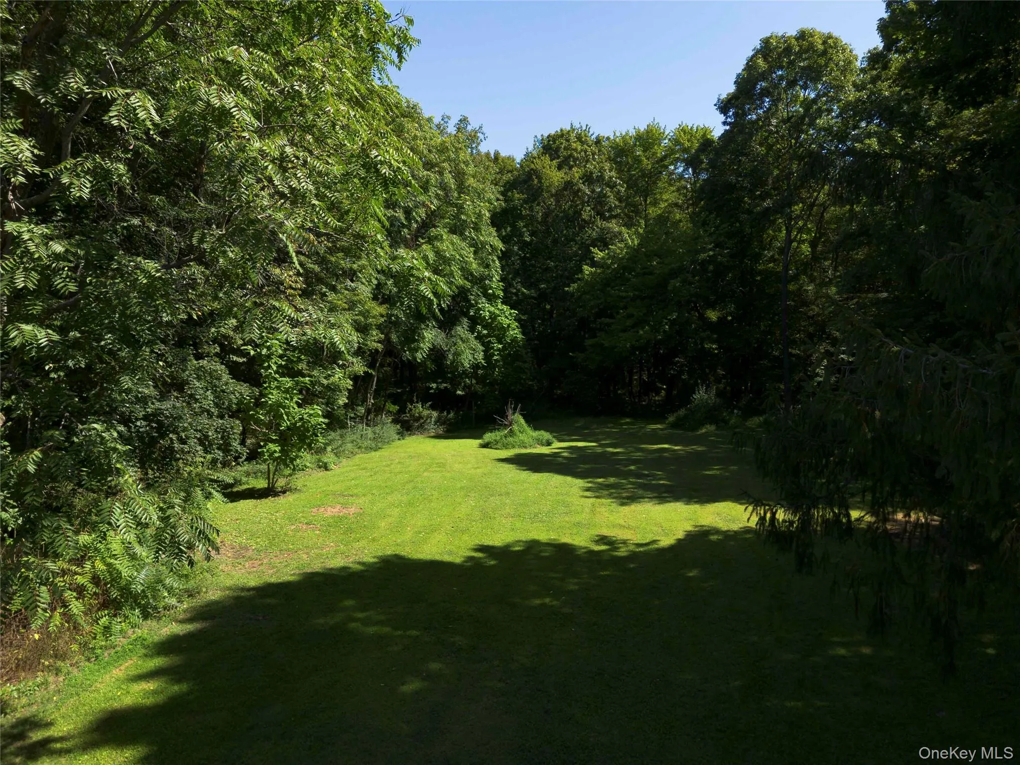 View of green lawn with a wooded view View of green lawn with a wooded view