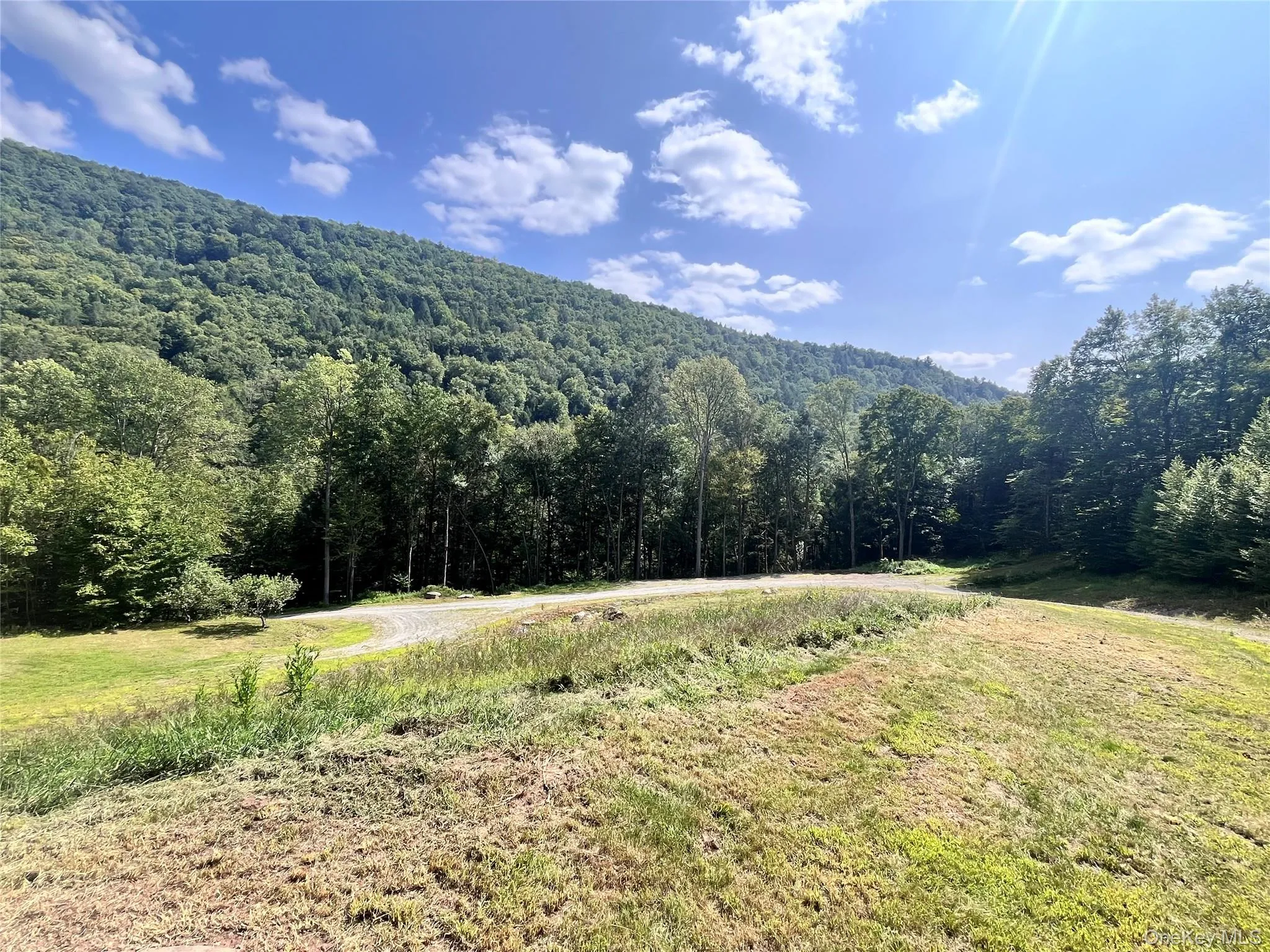 View of mountain backdrop featuring a heavily wooded area View of mountain backdrop featuring a heavily wooded area