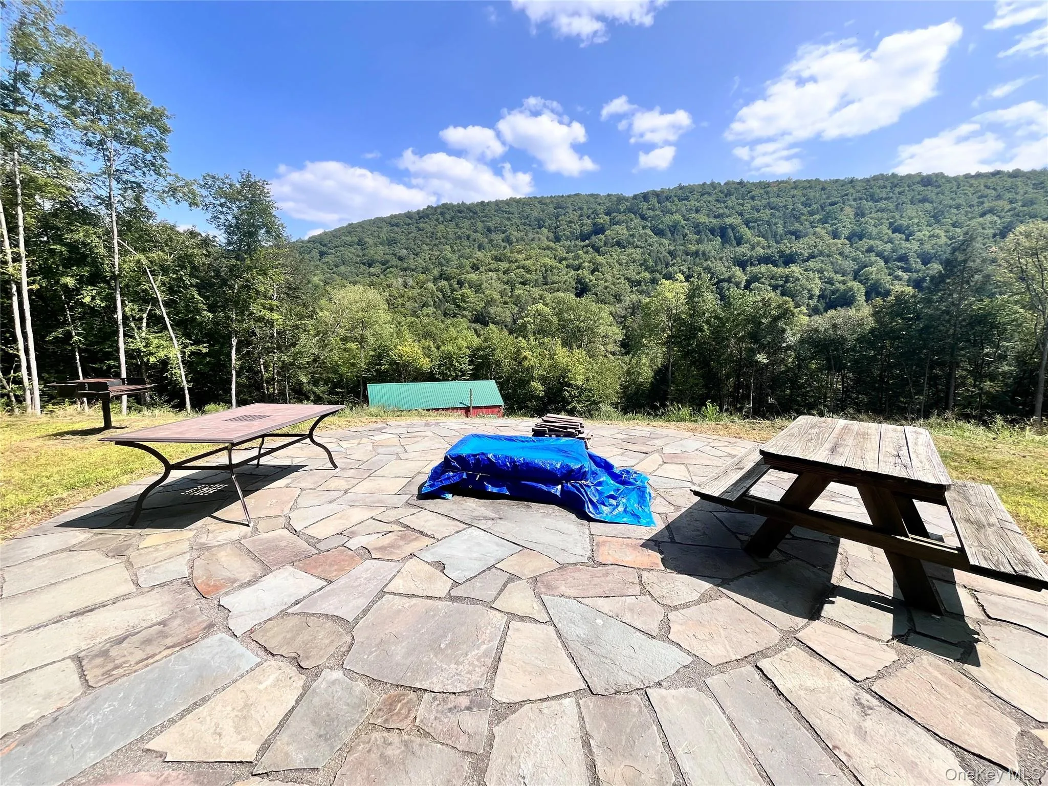 View of pool featuring a forest view and a patio View of pool featuring a forest view and a patio
