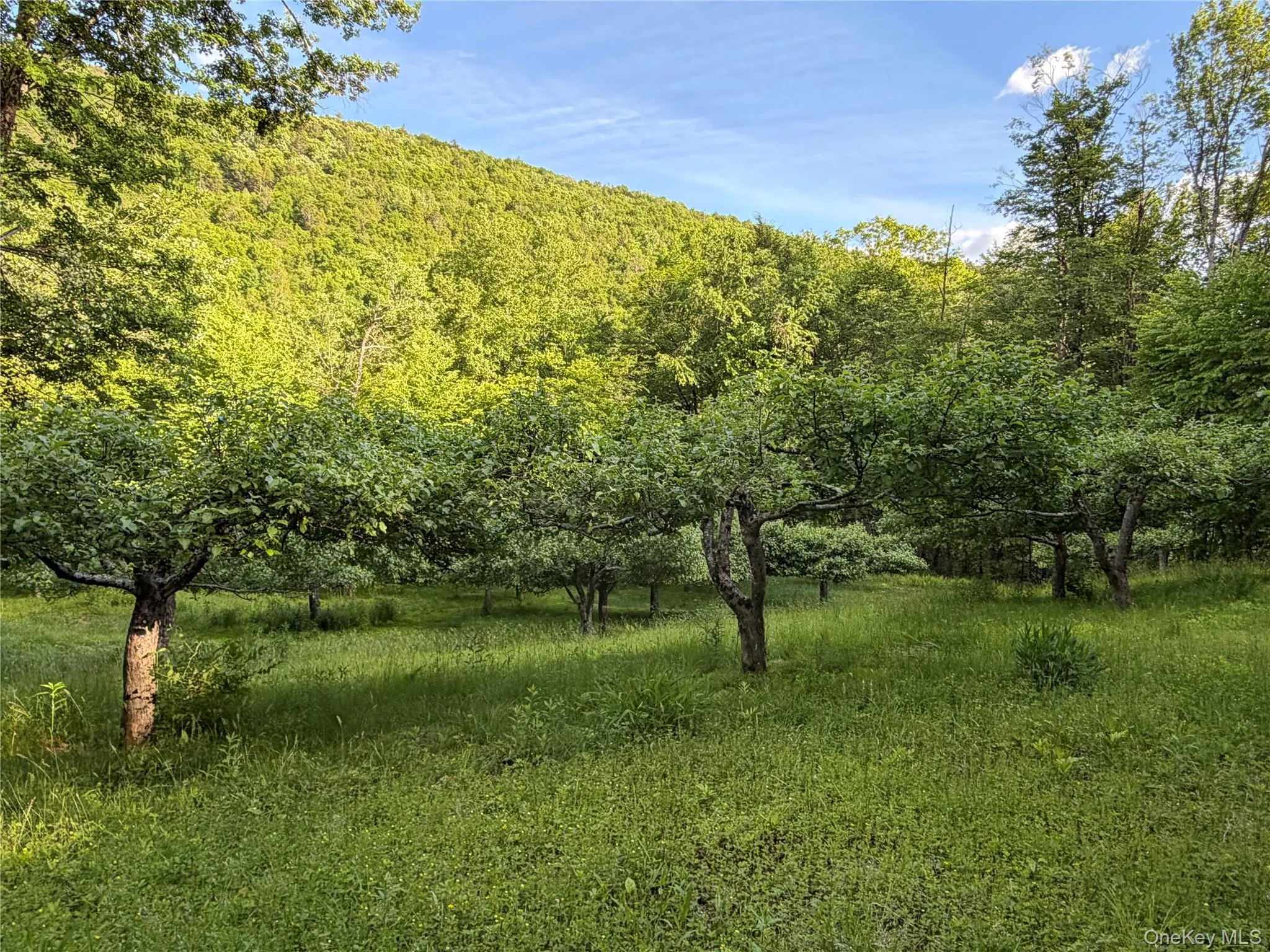 201 Basket Brook Rd, Fremont, NY, 3 Bedrooms Bedrooms, 7 Rooms Rooms,2 BathroomsBathrooms,Residential,For Rent,Basket Brook Rd,0,900266 201 Basket Brook Rd, Fremont, NY, 3 Bedrooms Bedrooms, 7 Rooms Rooms,2 BathroomsBathrooms,Residential,For Rent,Basket Brook Rd,0,900266