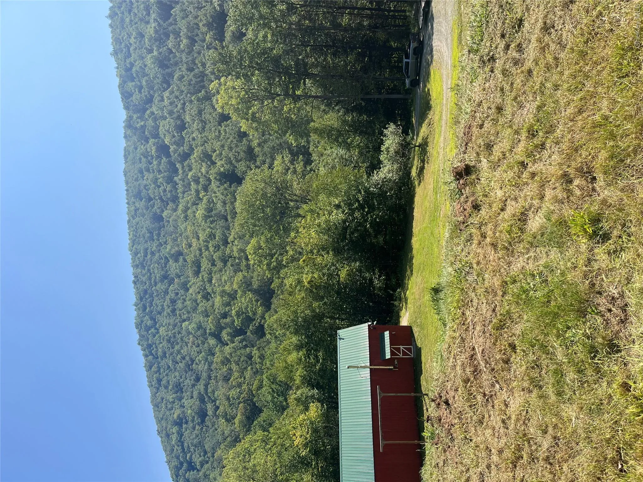 View of mountain background with a forest View of mountain background with a forest