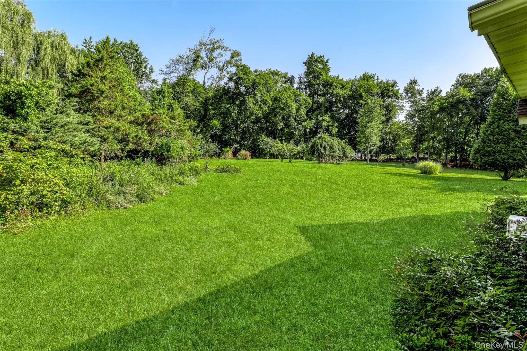 View of grassy yard View of grassy yard