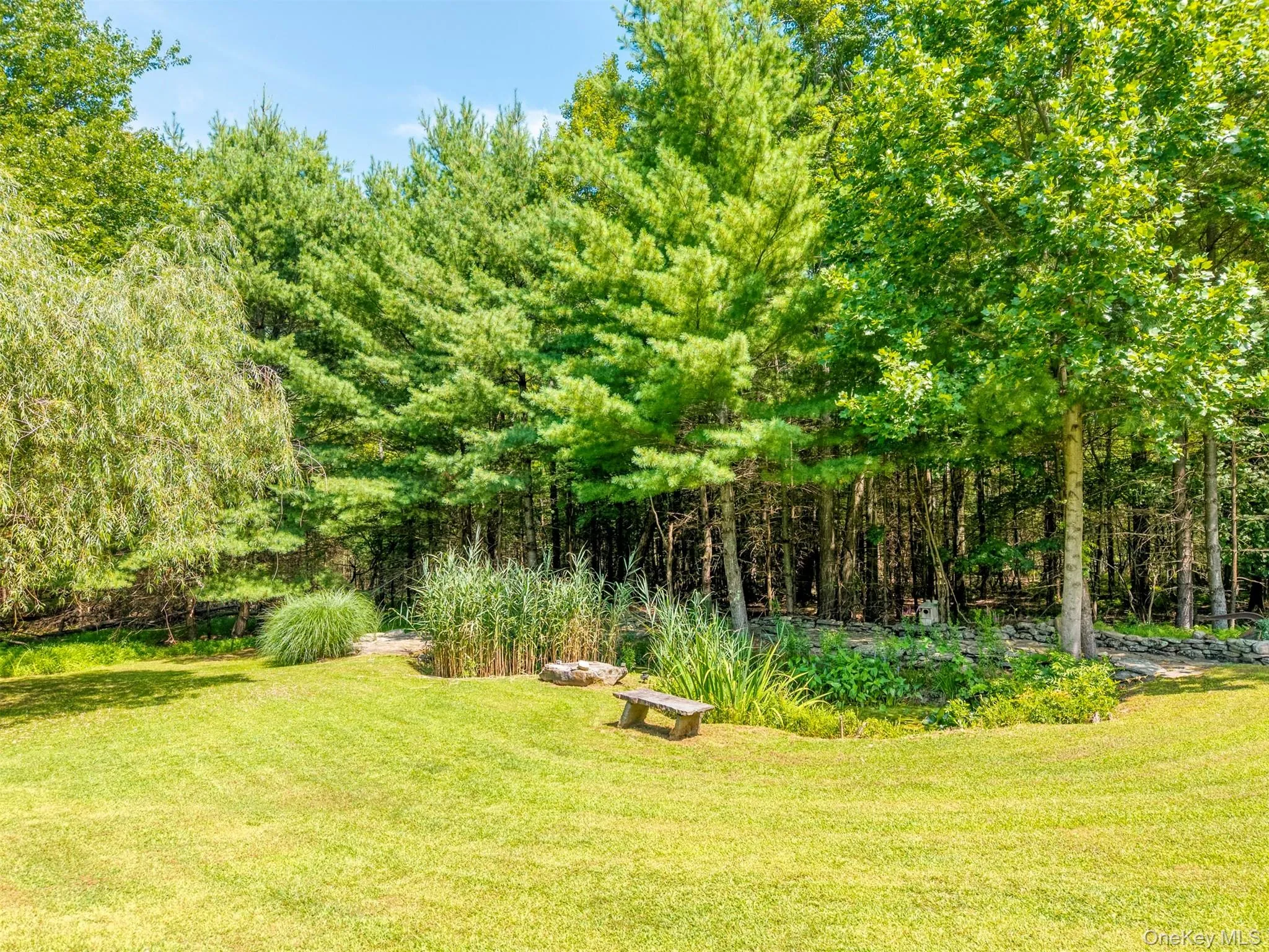 View of green lawn featuring a forest view View of green lawn featuring a forest view