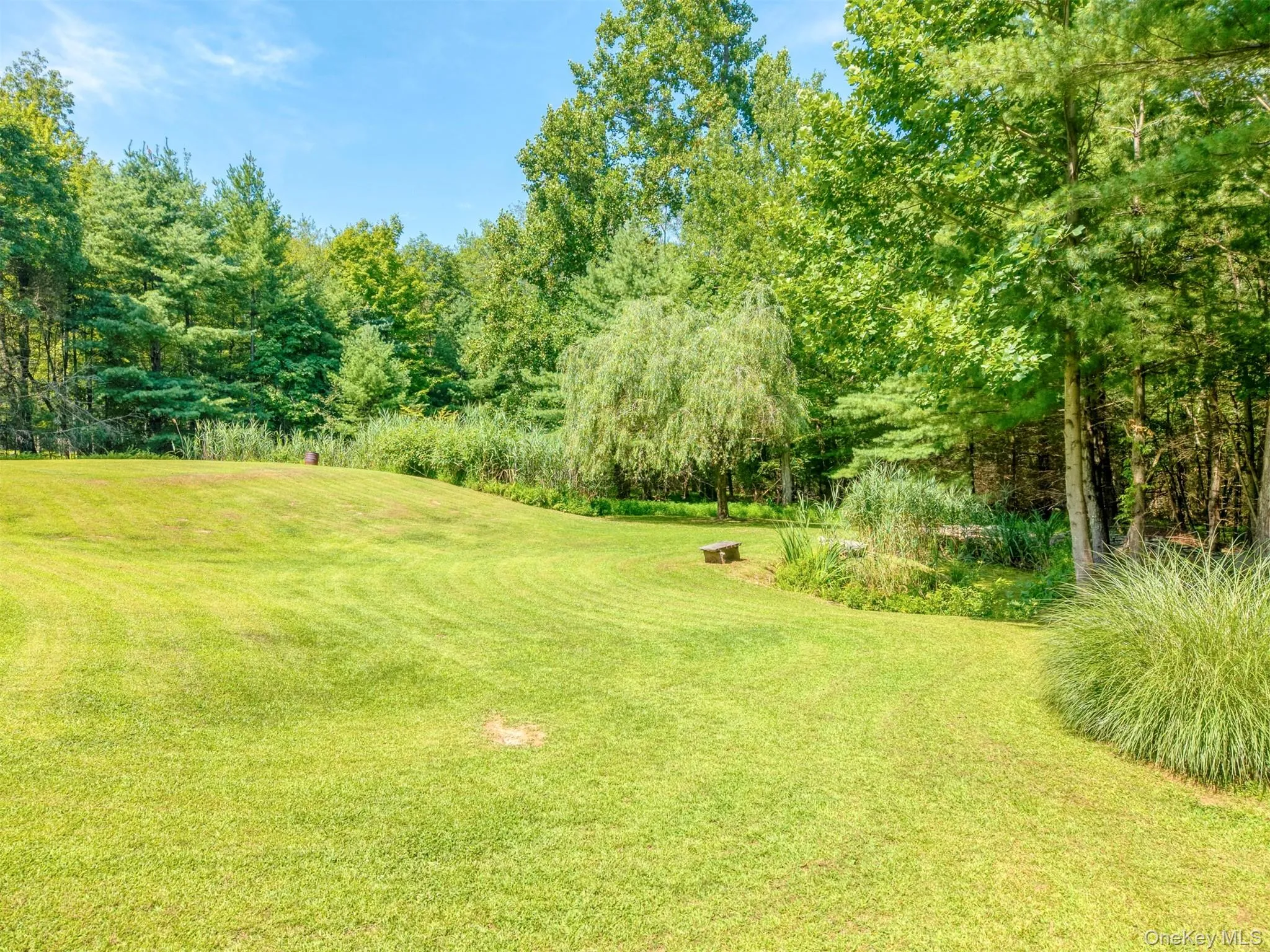 View of green lawn with view of wooded area View of green lawn with view of wooded area