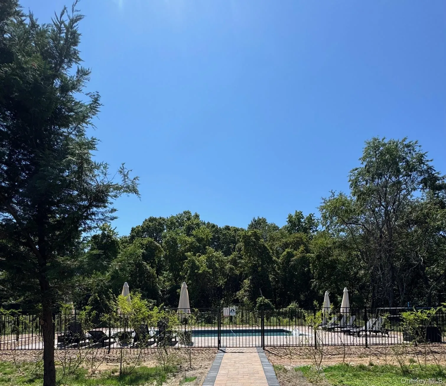 Newly Installed Pool Newly Installed Pool